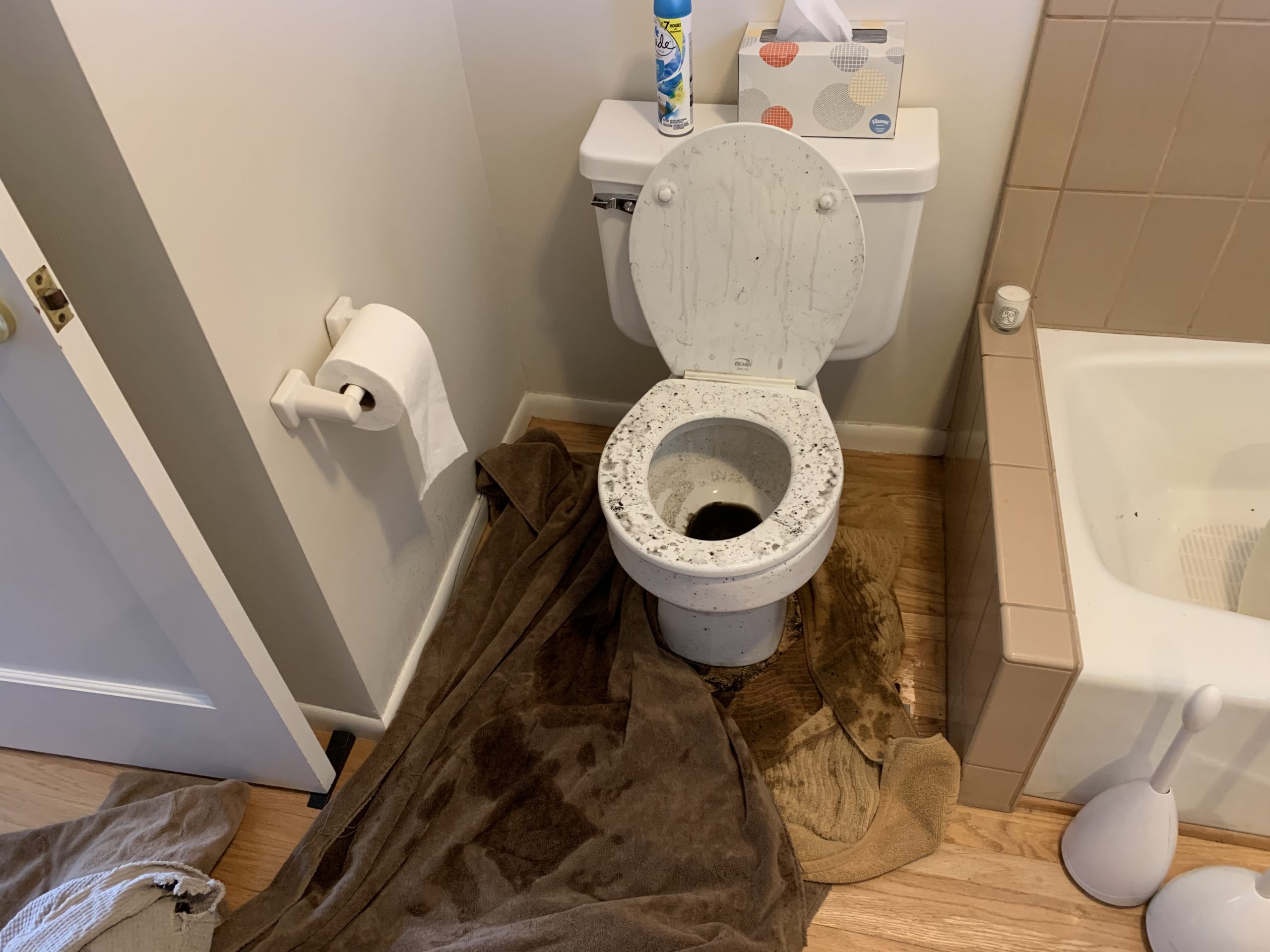 bathroom sewage damage