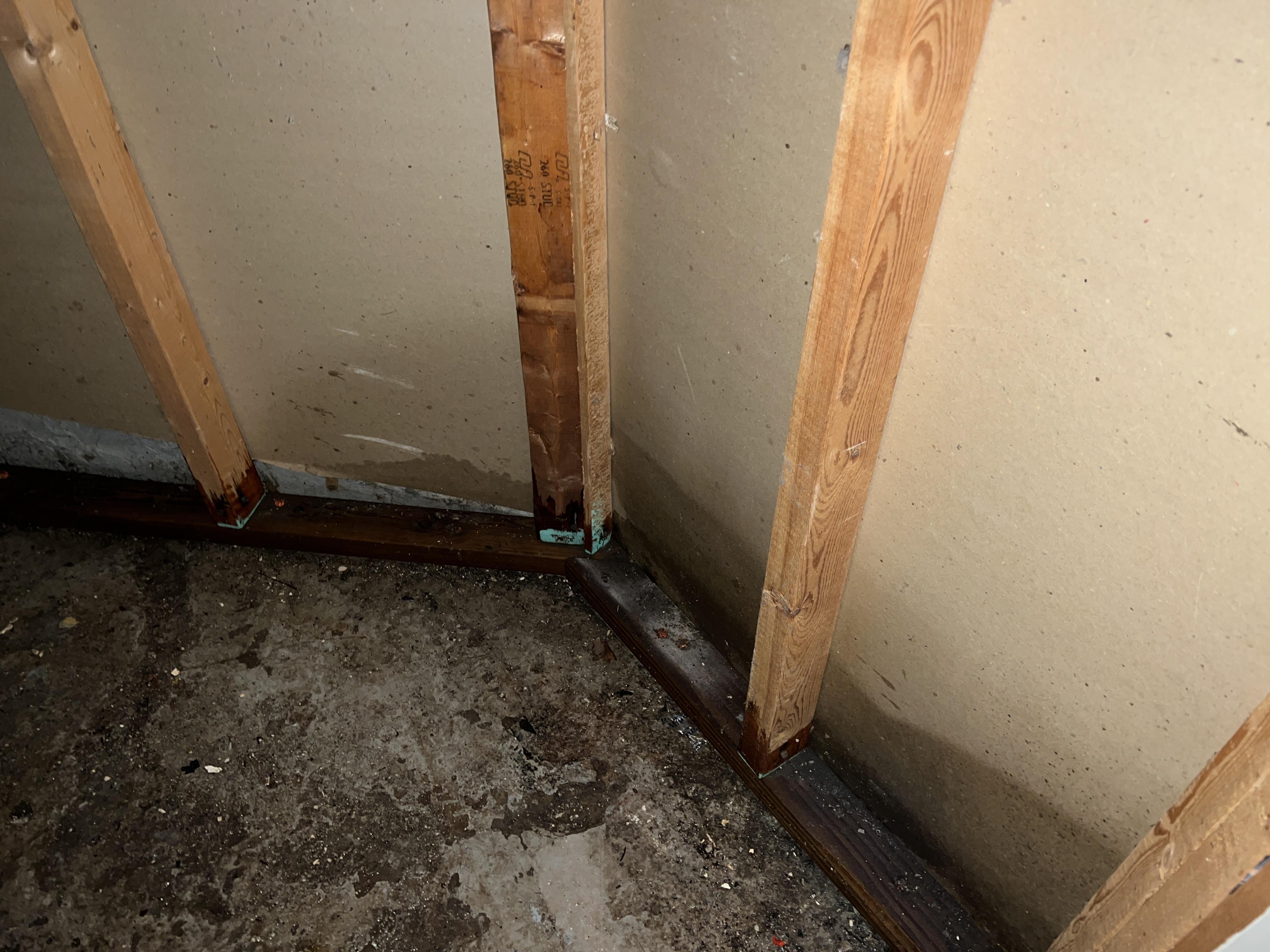 Floor and drywall water damage 