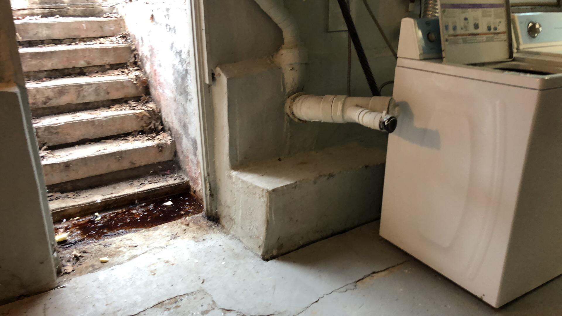 Sewage on basement stairs leading to basement 