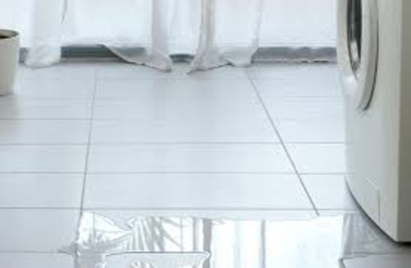 Appliance Leak Cleanup: Minimizing Moisture and Property Damage