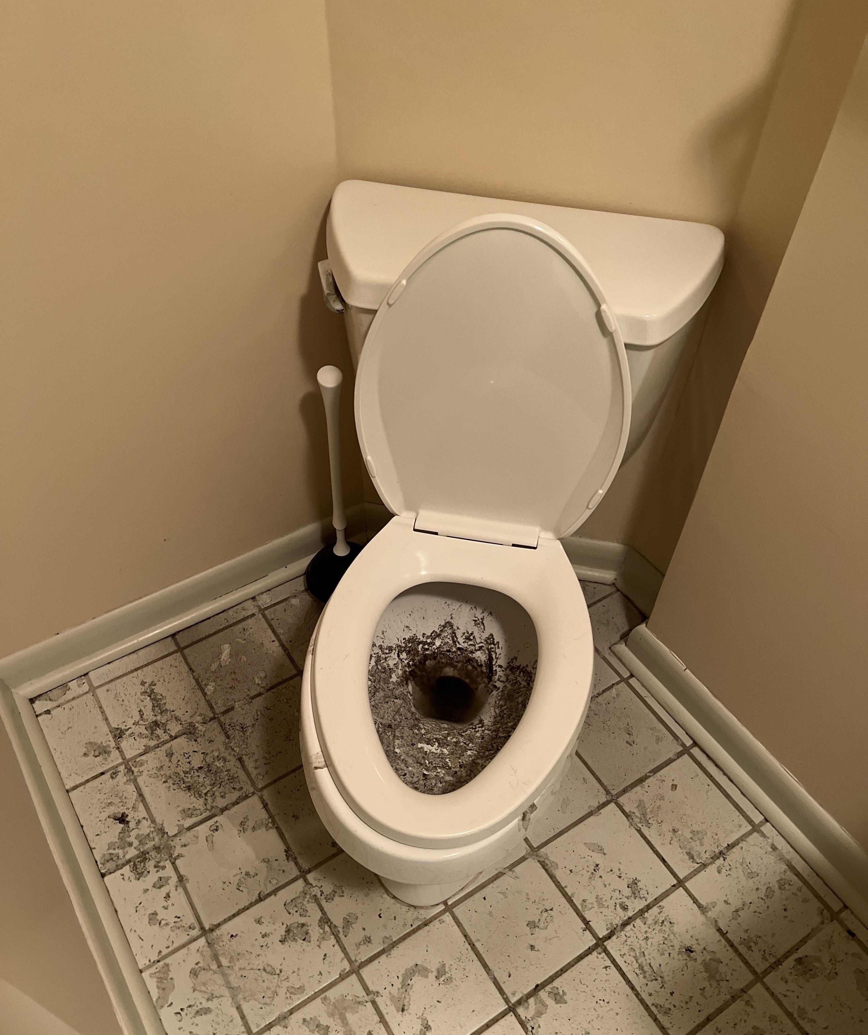 Collapsed Sewer Line and Septic Tank Failure in New Jersey