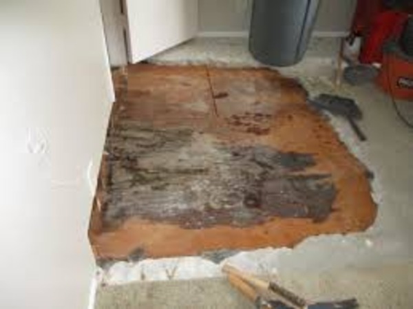 Decomposition Cleanup: What Homeowners Need to Know