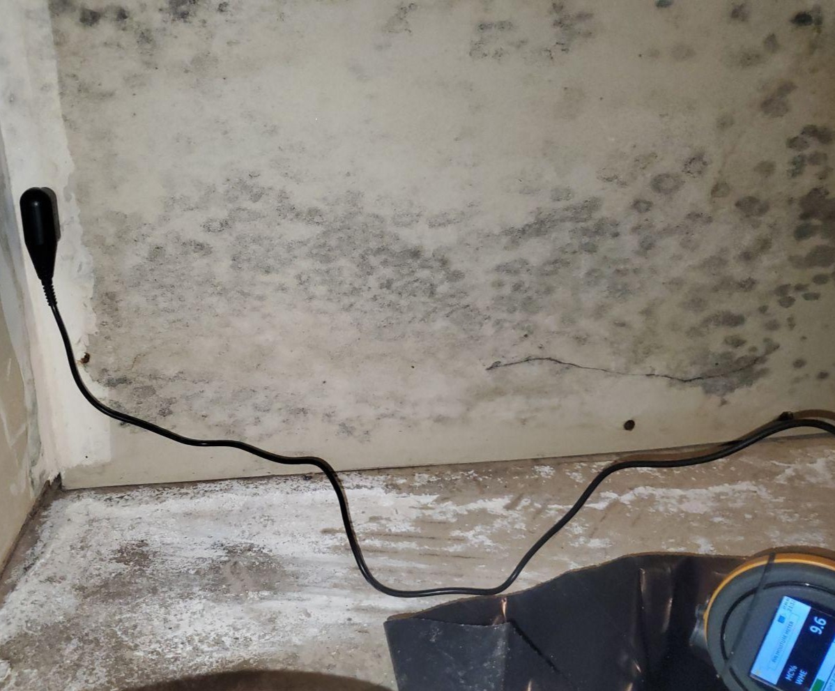 Mold Inspection in [TOWN NAME], NJ