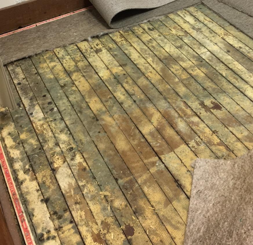 Mold Testing in [TOWN NAME], NJ