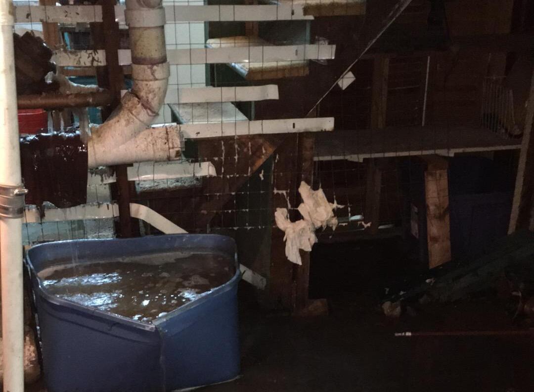 Sewage Backup Cleaning in New Jersey