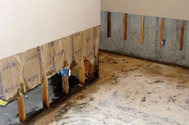 Structural Drying Following Water Intrusion: Protocols and Equipment