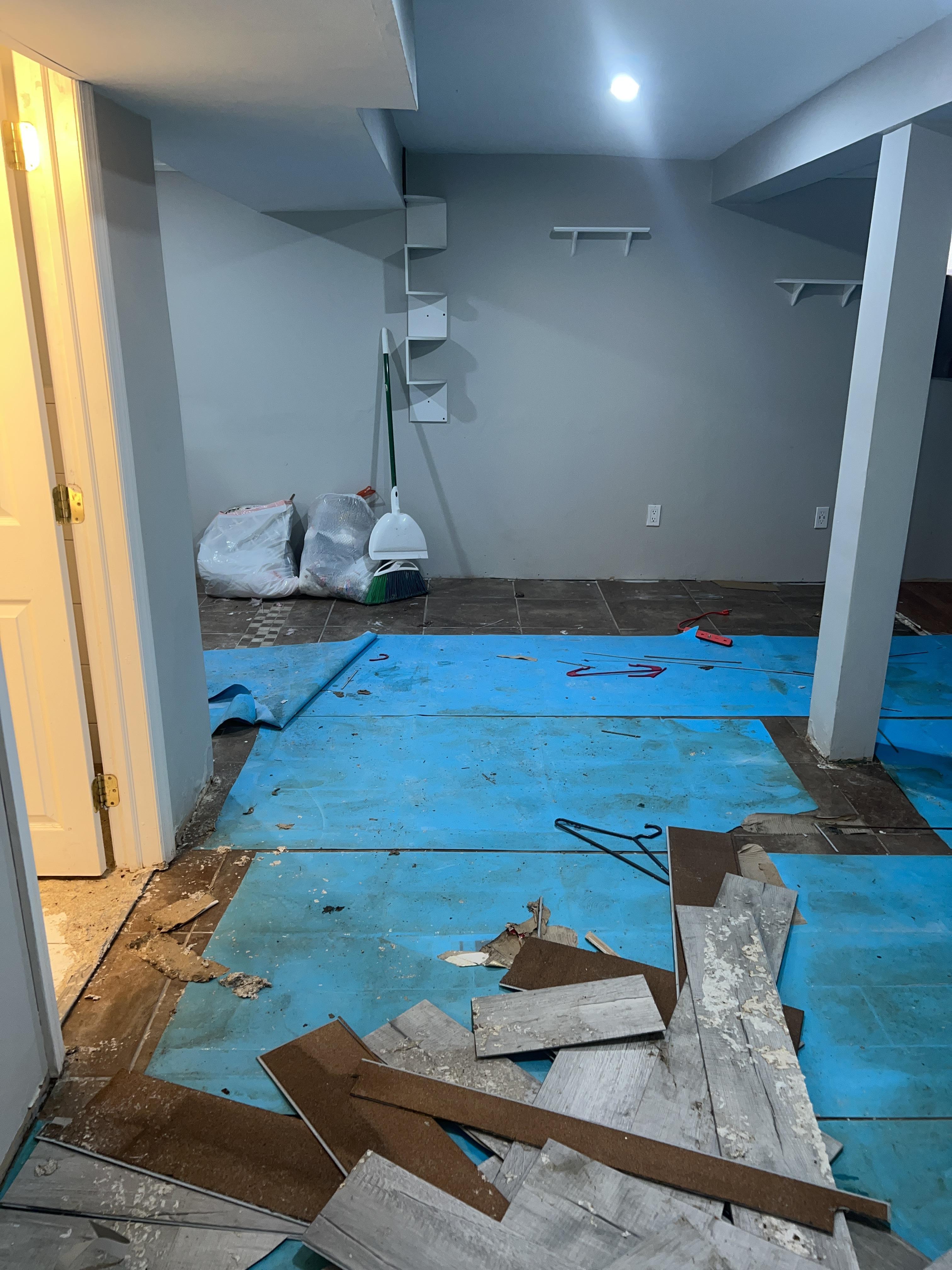 Elaine J. - Little York, NJ - Sewage Damage