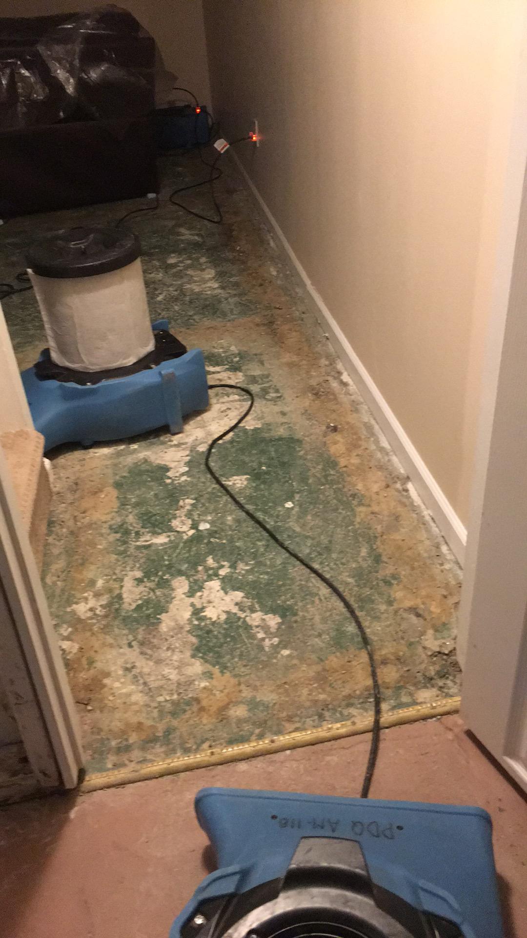 carpet removal from finished basement