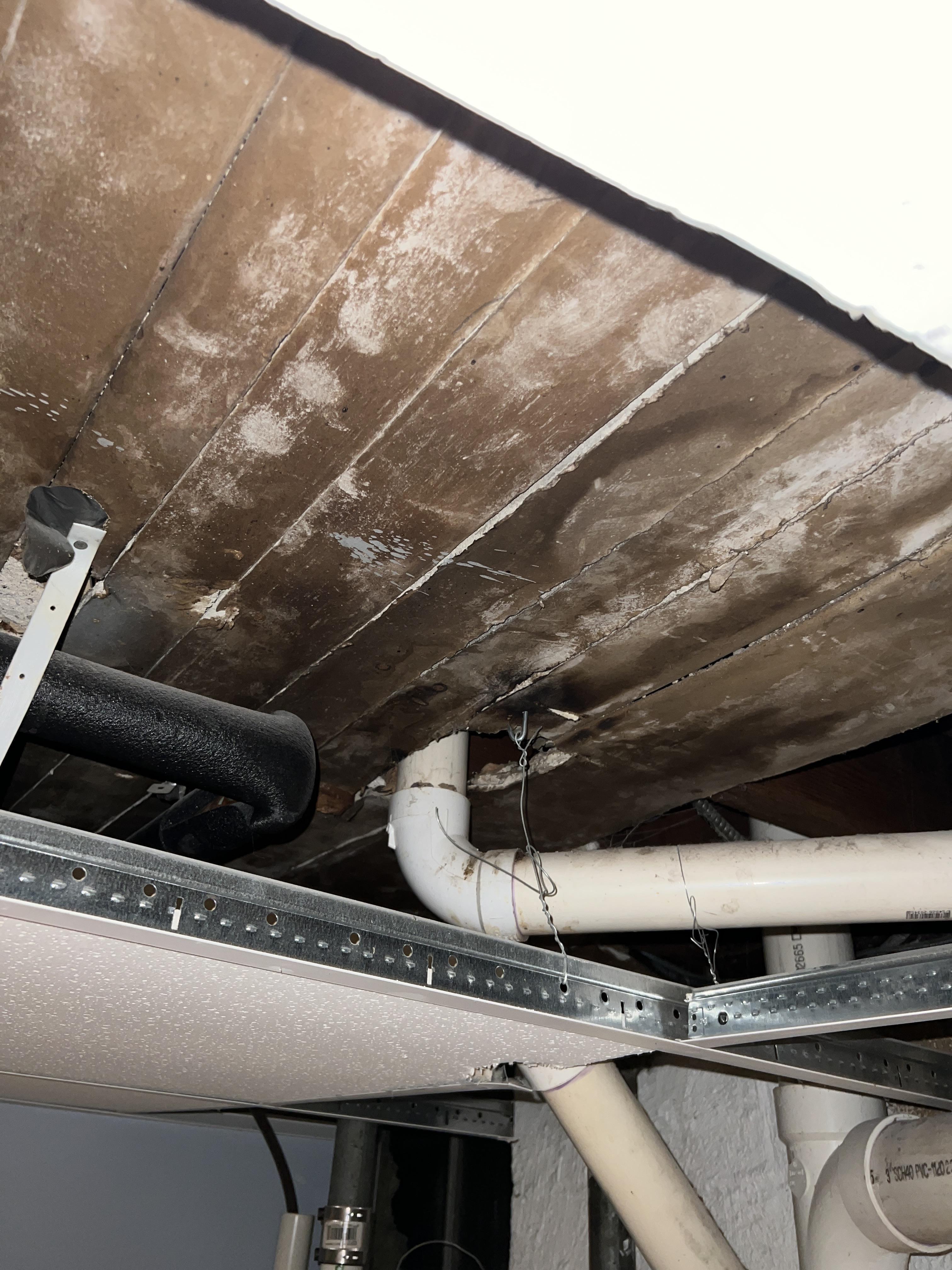 Leaky Pipe in Ceiling