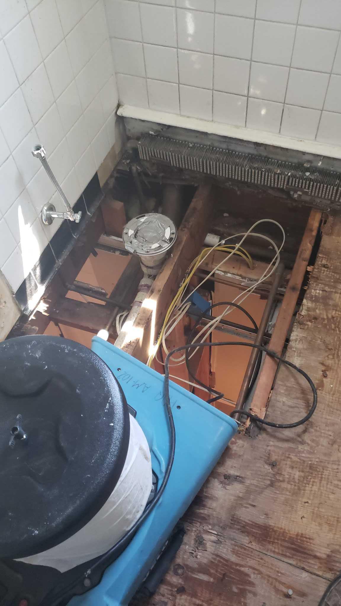 Leslie K. - Byram Township, NJ - Sewage Damage