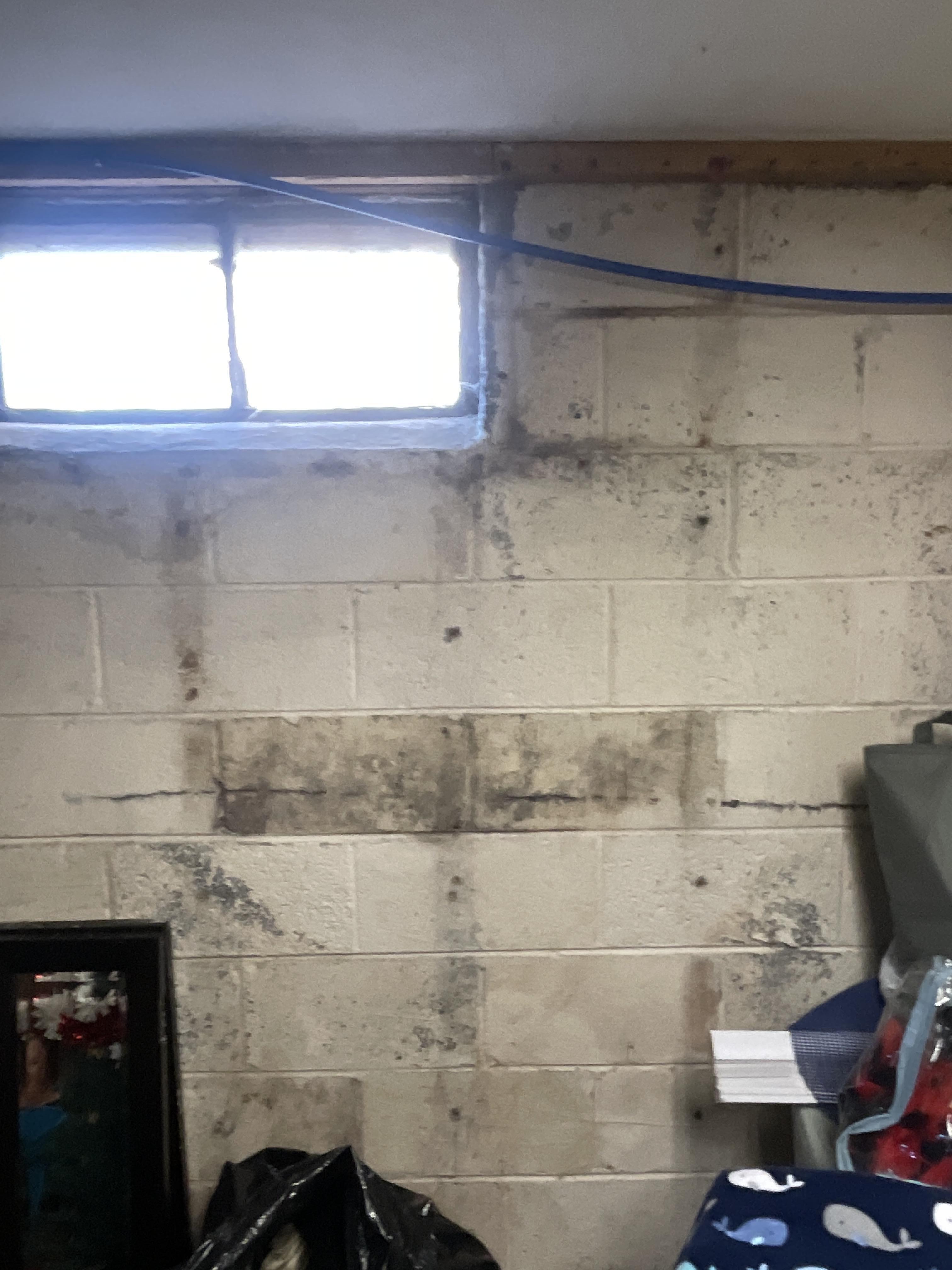 Jennifer M. - Randolph, NJ - Mold Damage