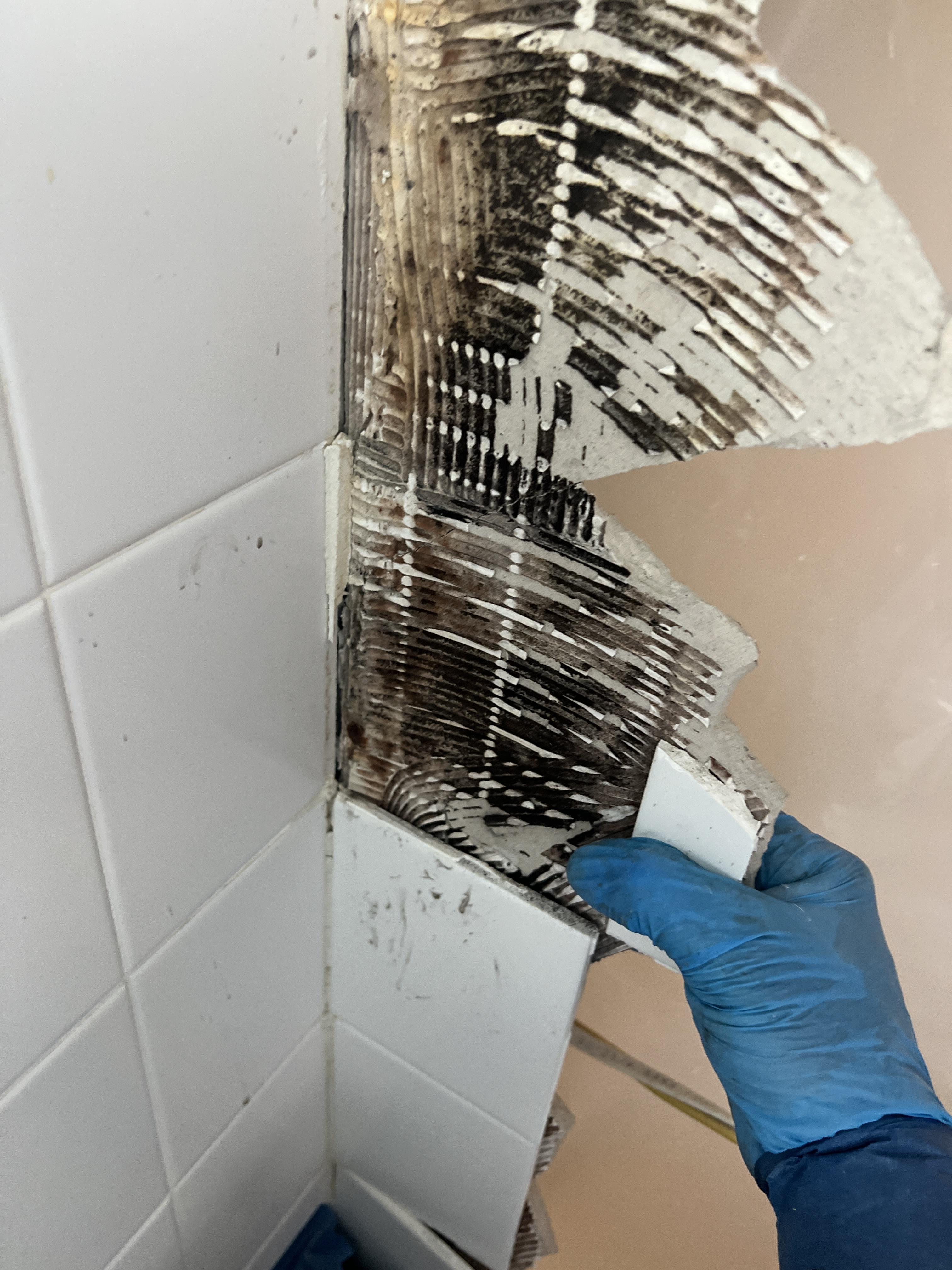 Shower Stall Mold Behind Tiles