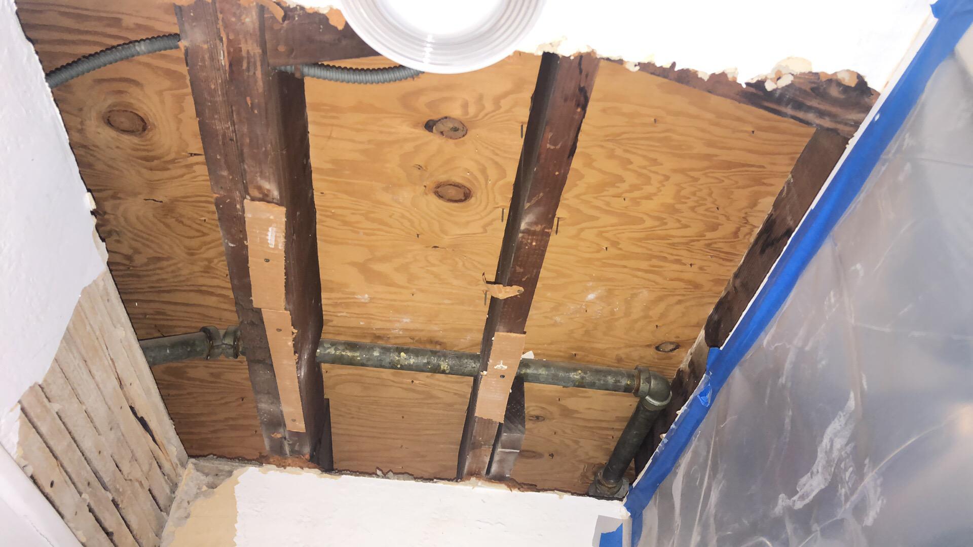 Stephanie H. - Denville, NJ - Water Damage