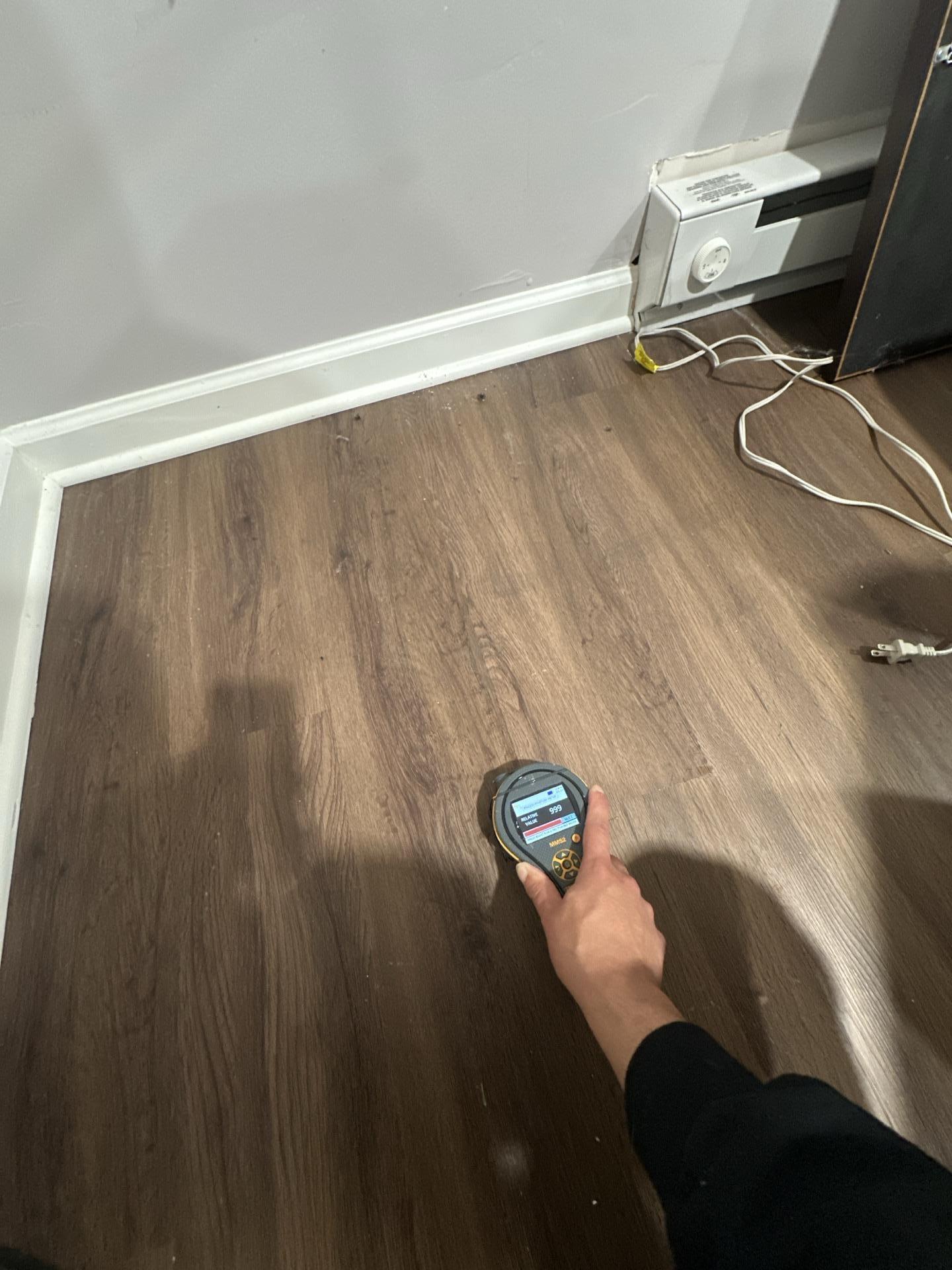 Ryan P. - Parsippany, NJ - Water Damage