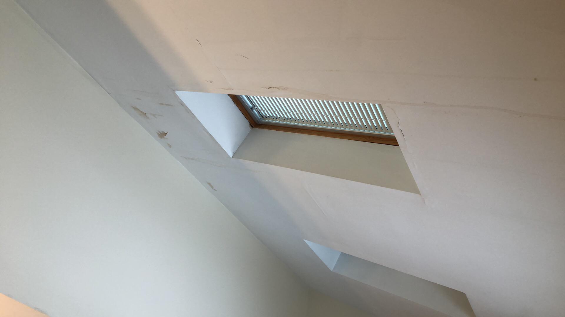 Rachel P. - Chester, NJ - Water Damage