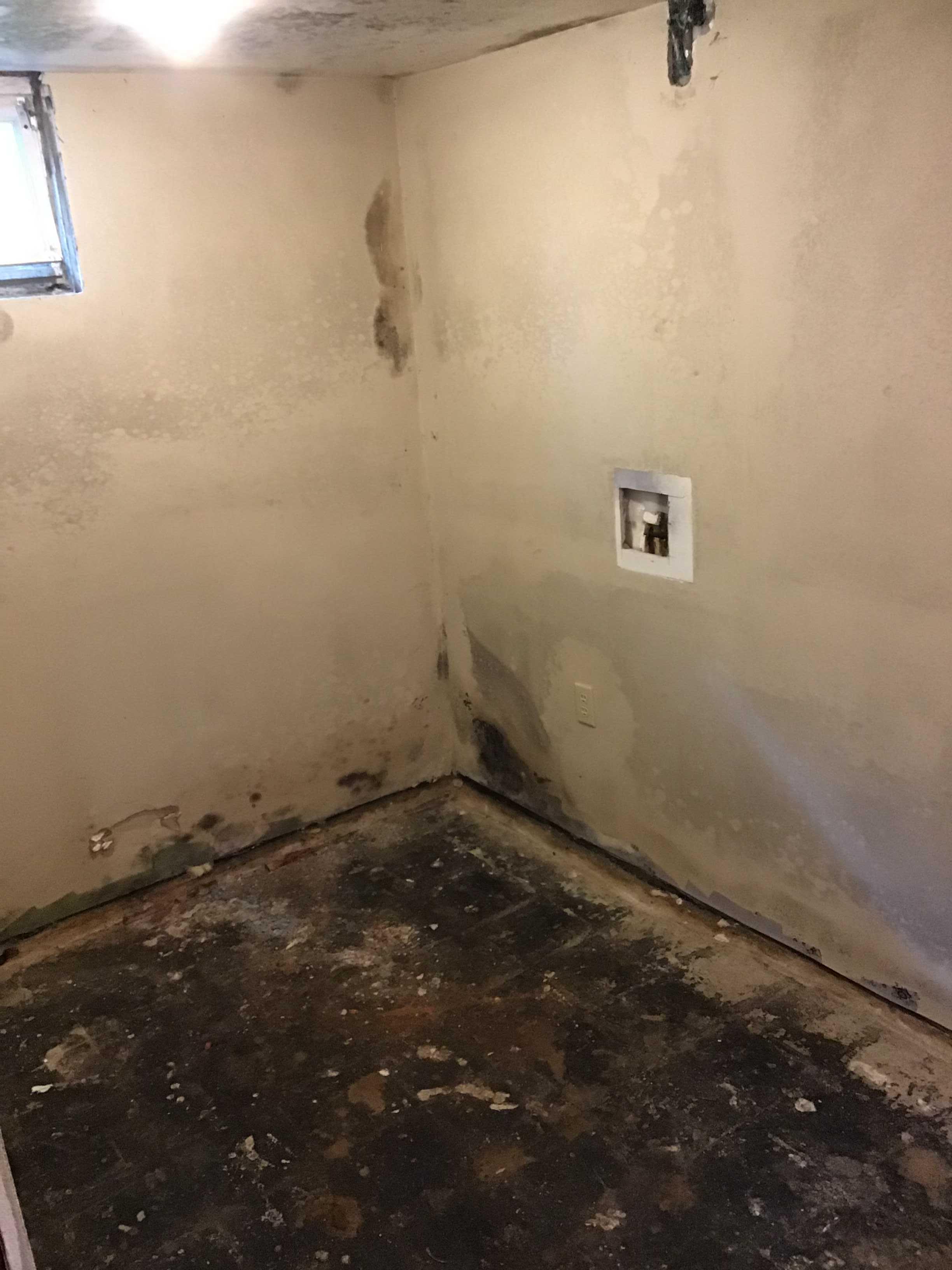 Wet Basement in Hackettstown, NJ