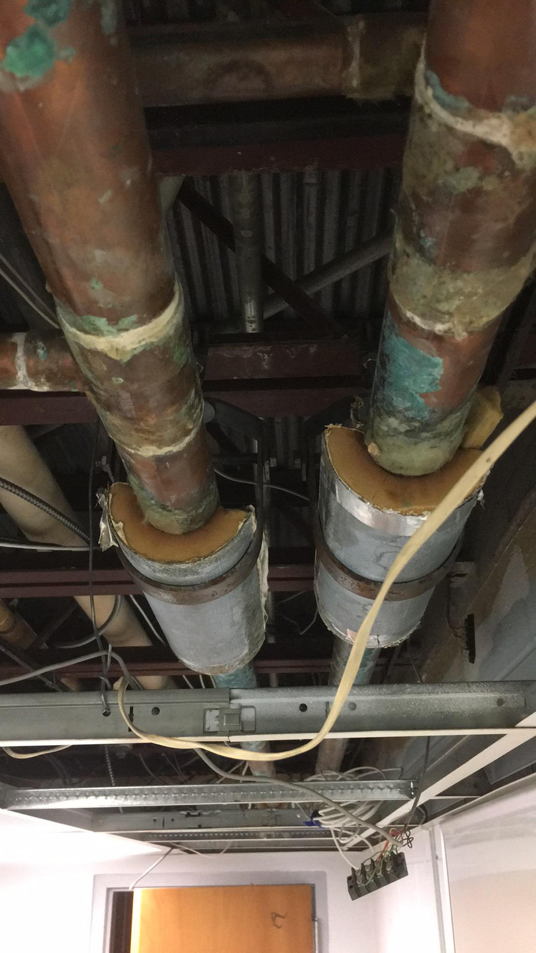 Mold Damage, Chester, NJ