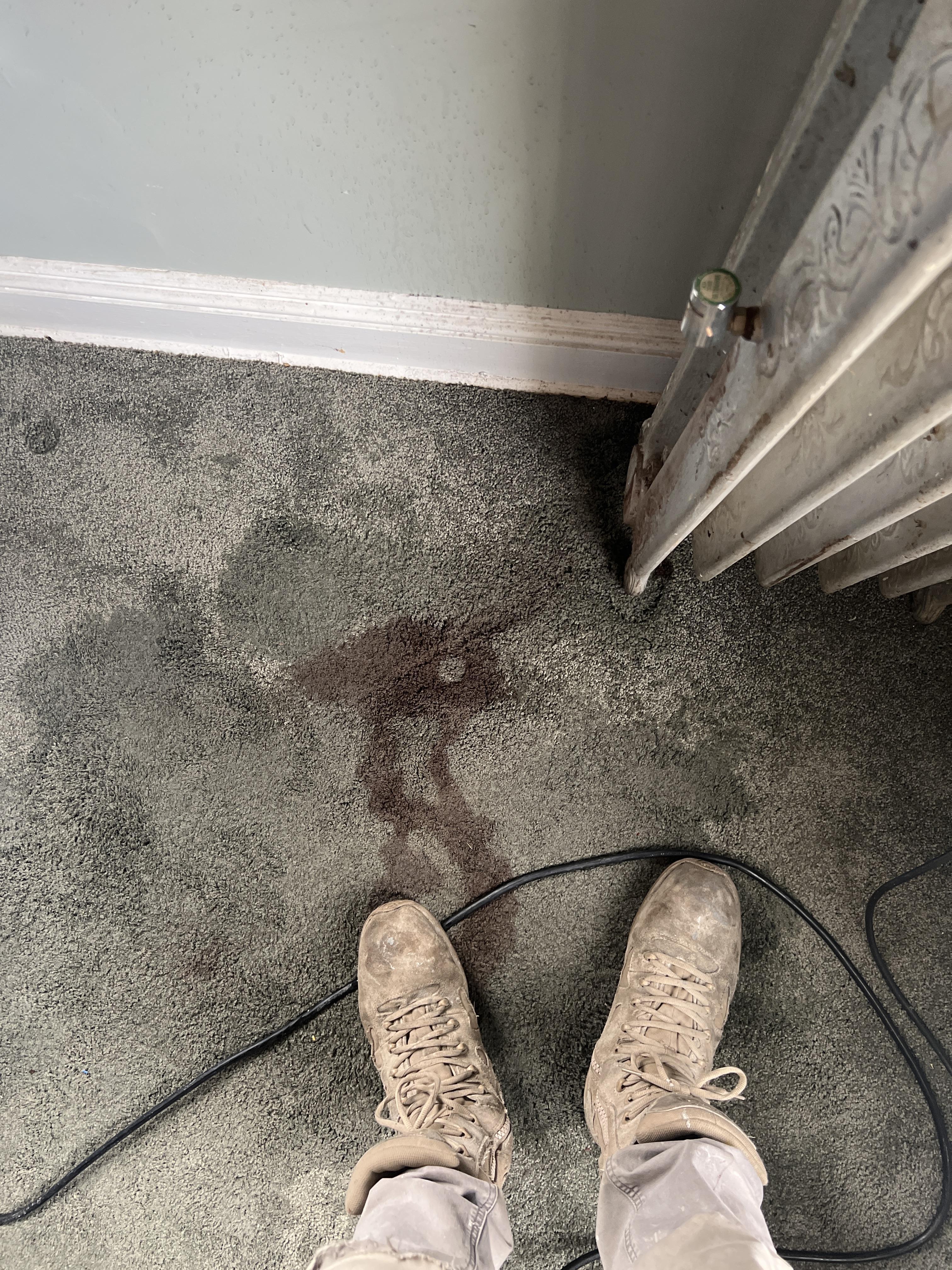 Saturated Carpet from Burst Radiator Line