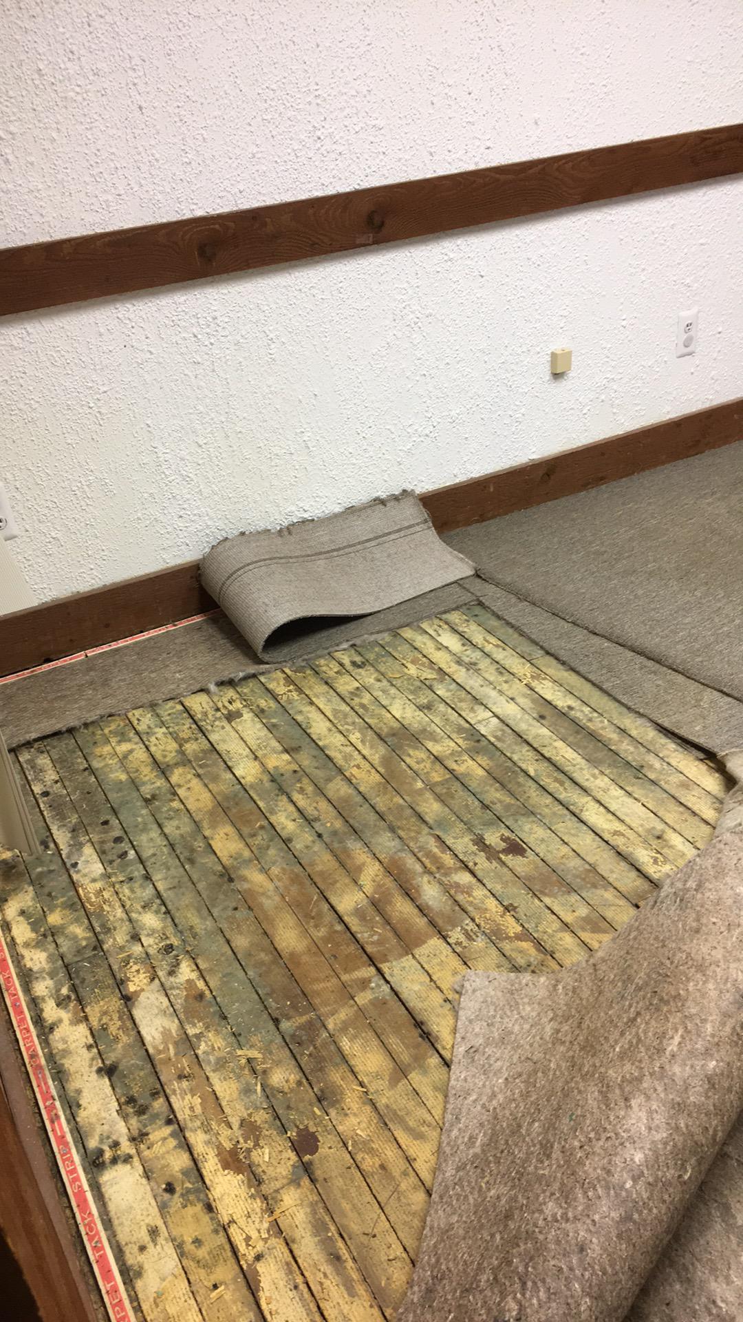Rachel T. - Mount Olive, NJ - Water Damage
