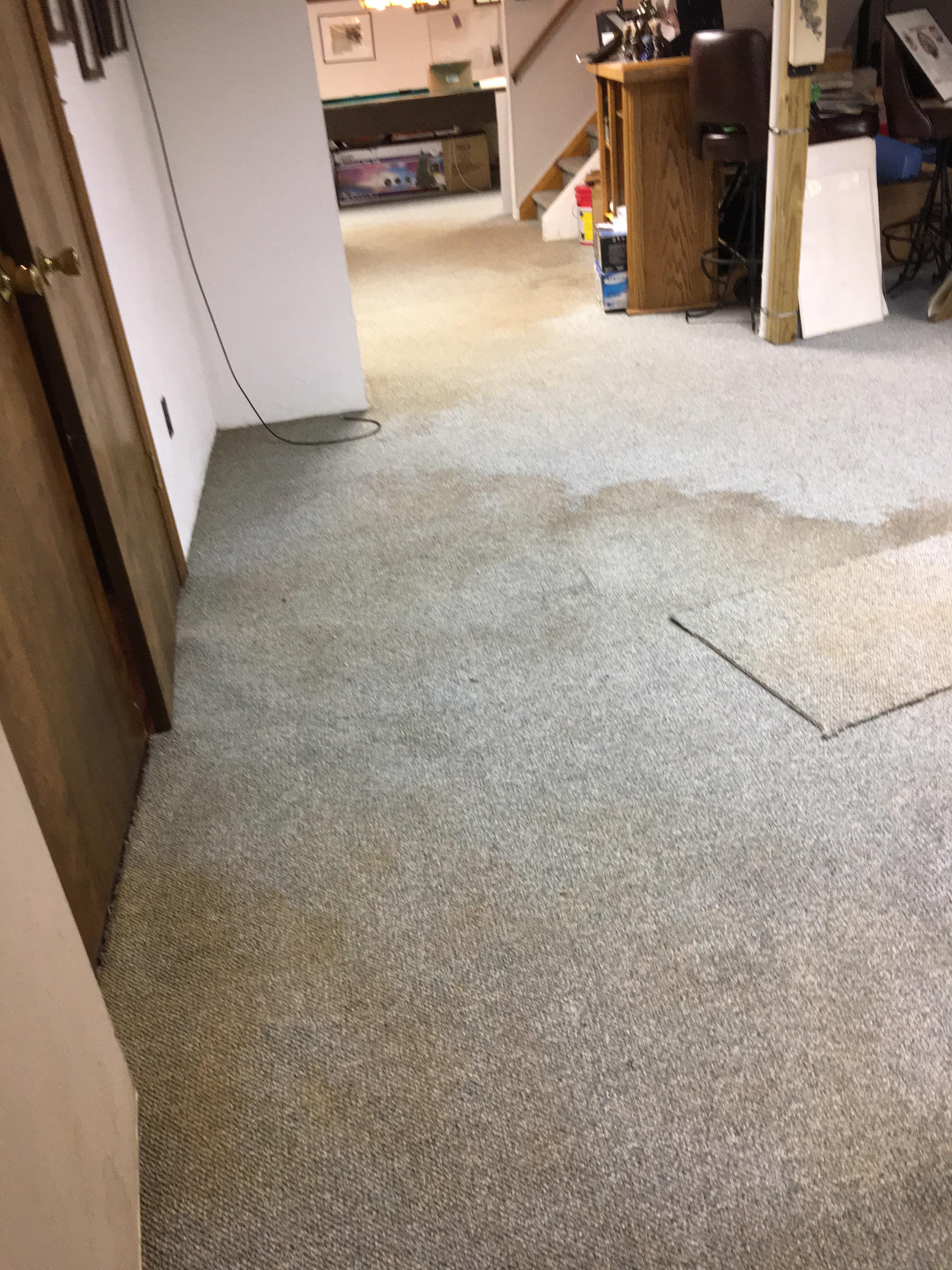 Emily R. - Highland Lakes, NJ - Water Damage