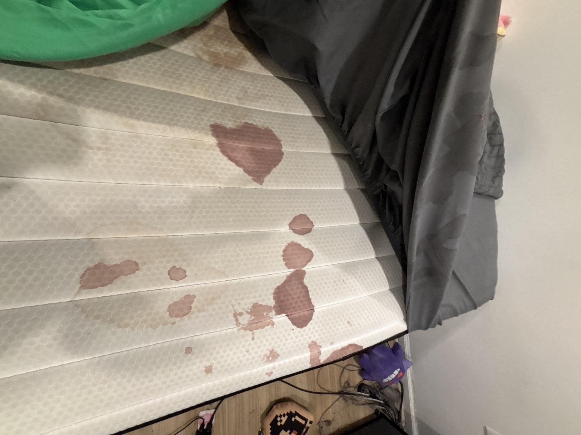 Blood Spill, Boonton, NJ.jpg