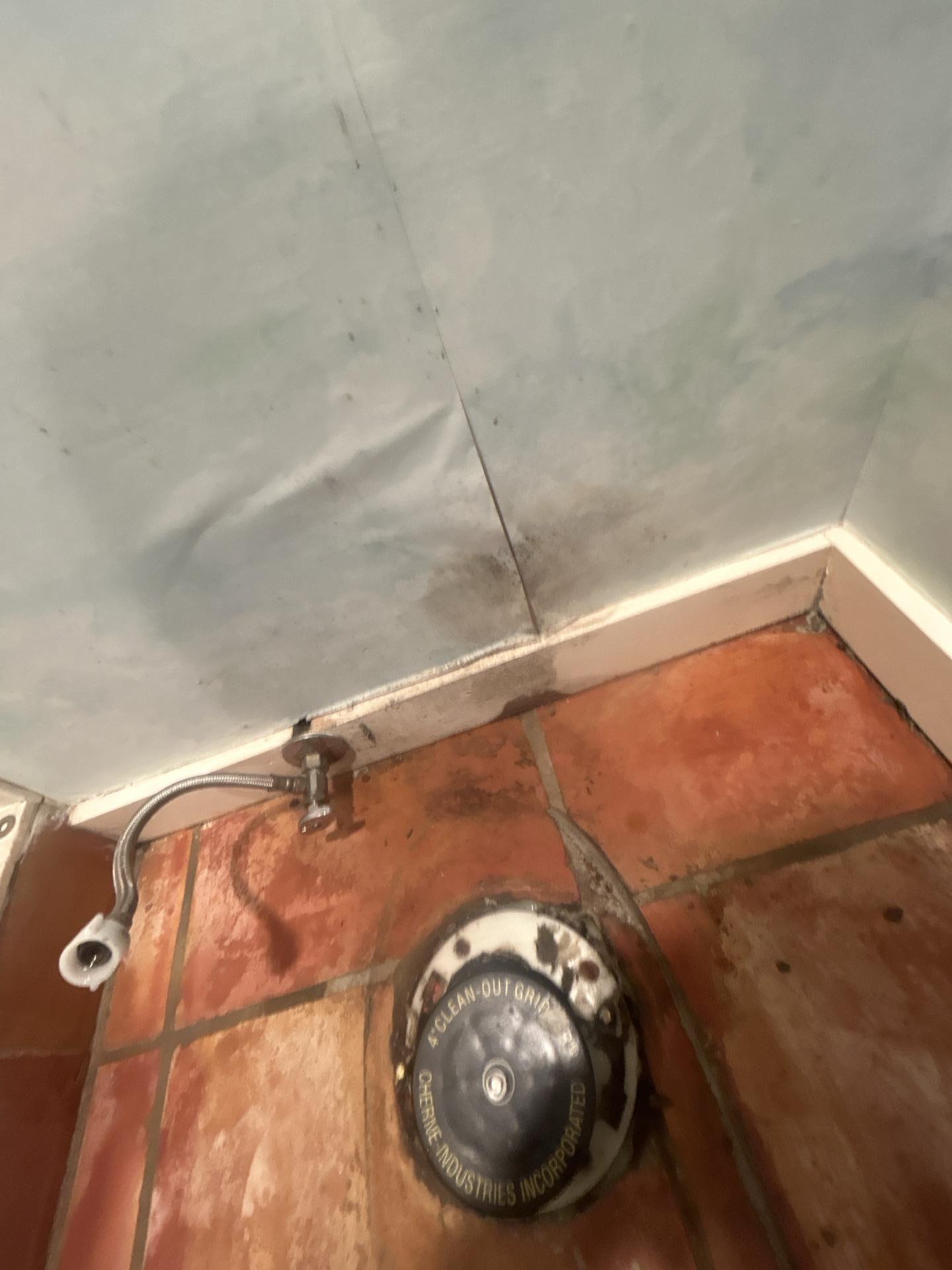 Sewage Cleanup in Newton, NJ