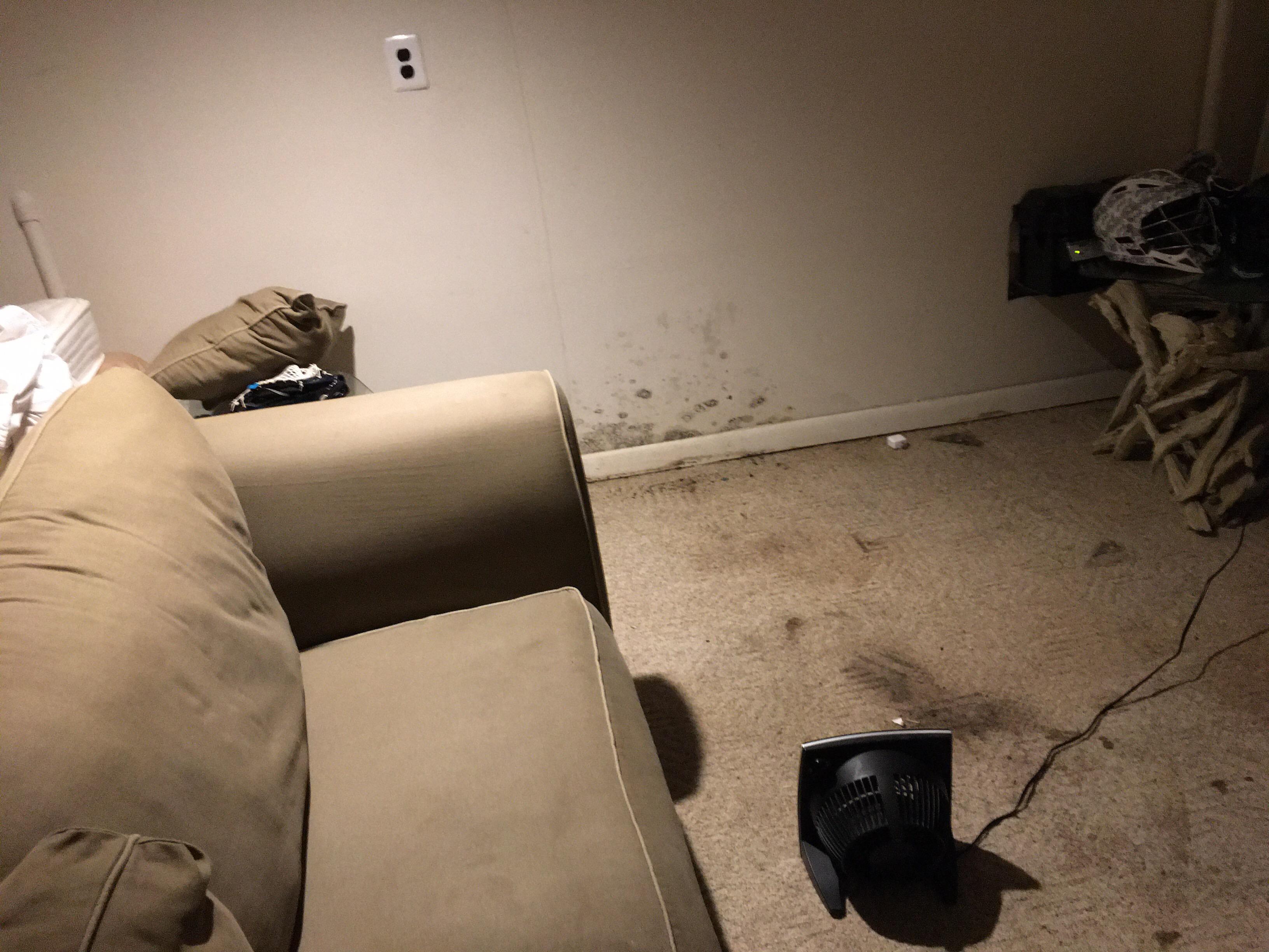Water damage in basement