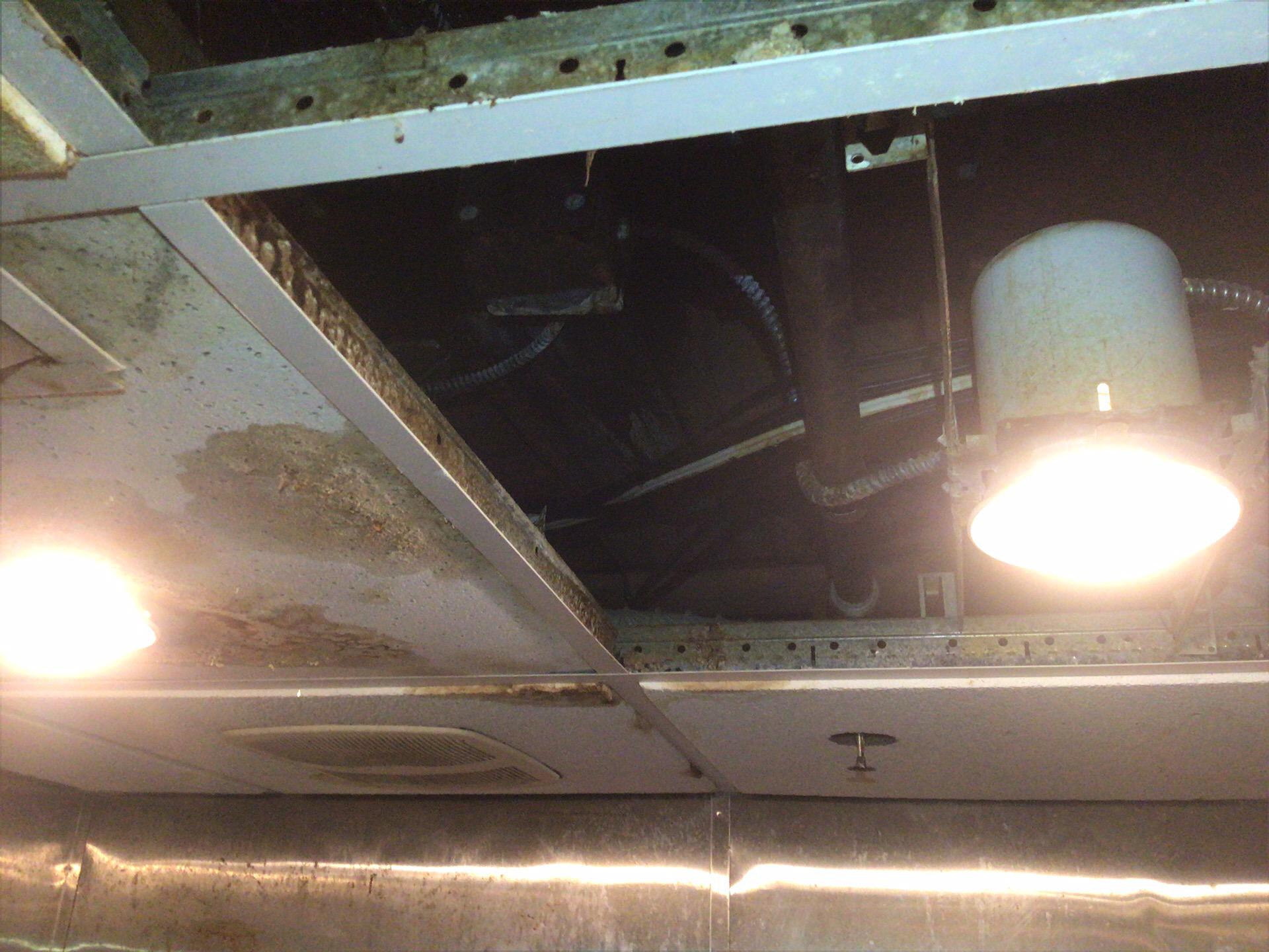 Brian L. - Mine Hill, NJ - Water Damage