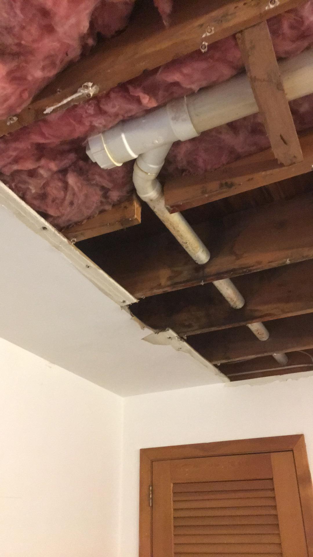 Affected material removed from basement ceiling