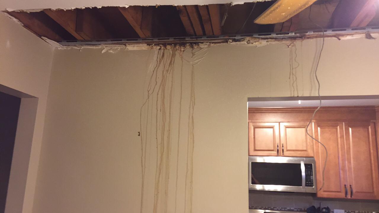 Wet Ceiling in Mine Hill, NJ