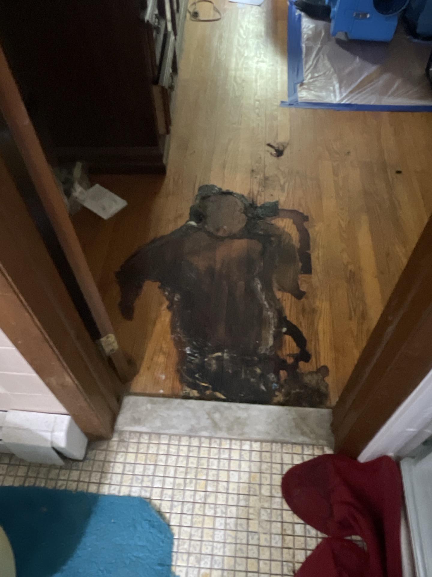 Robert L. - Boonton, NJ - Biohazard