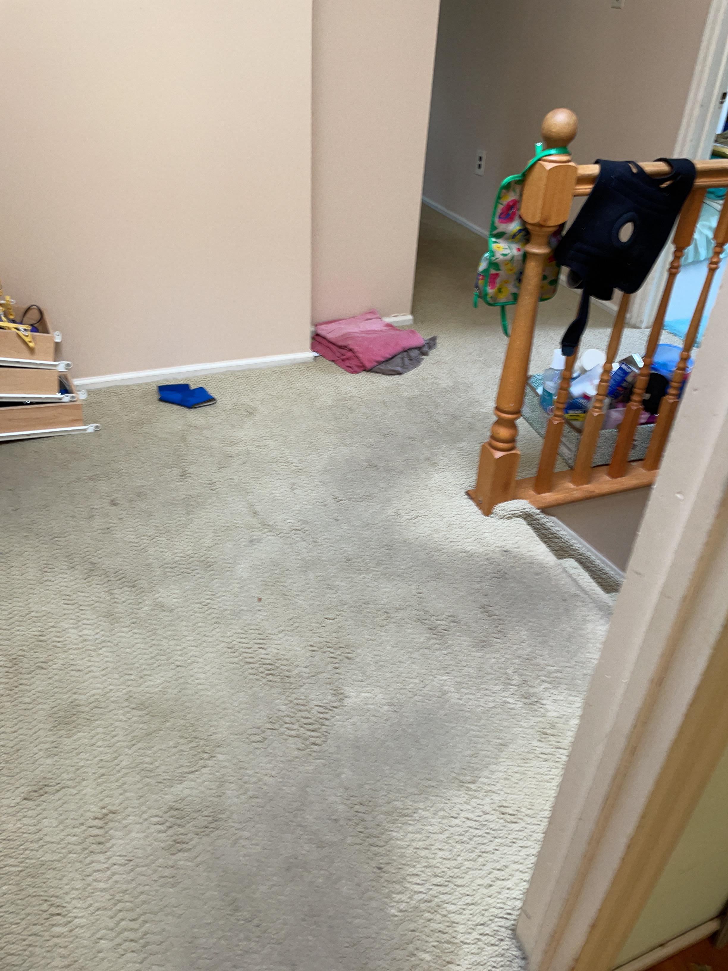 Second floor hallway rug damaged from water.