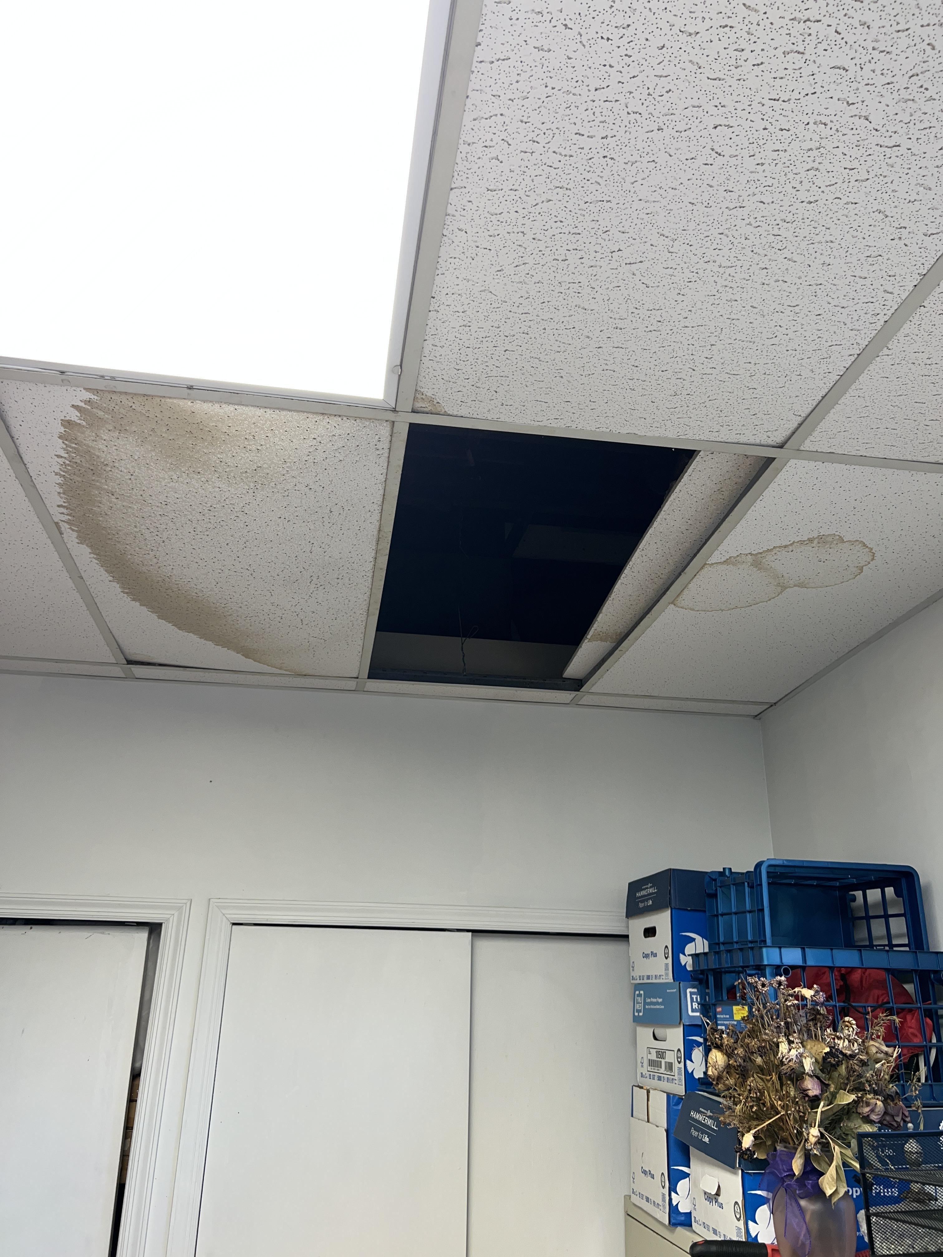 Leak in Ceiling