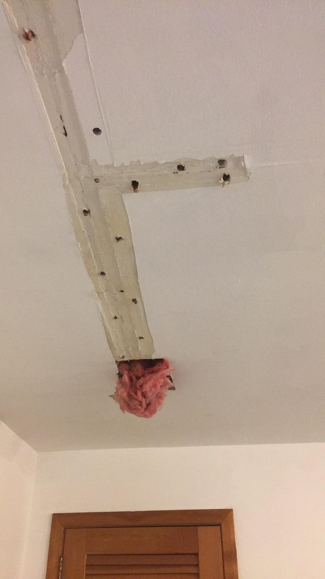 Basement ceiling damaged