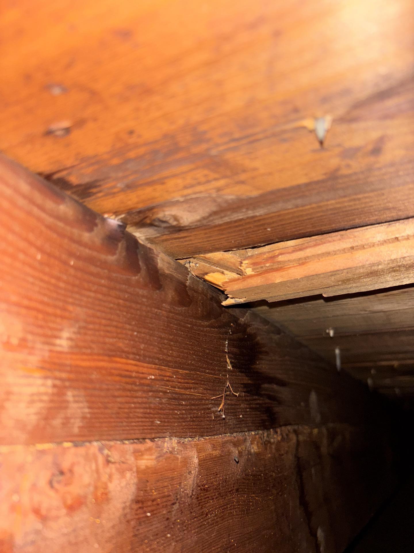 Lauren P. - Mendham, NJ - Water Damage