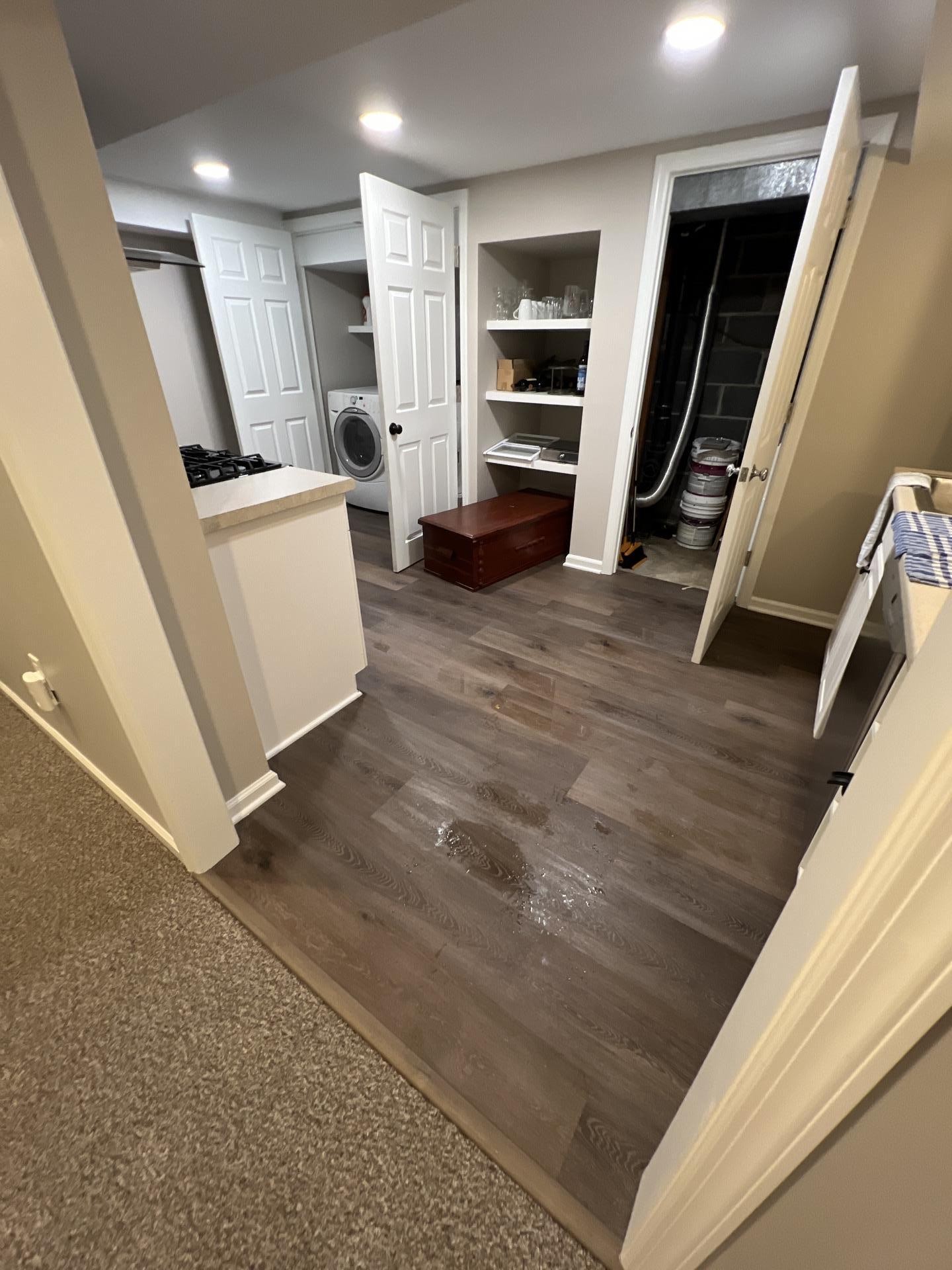 Brian T. - Mount Olive, NJ - Water Damage