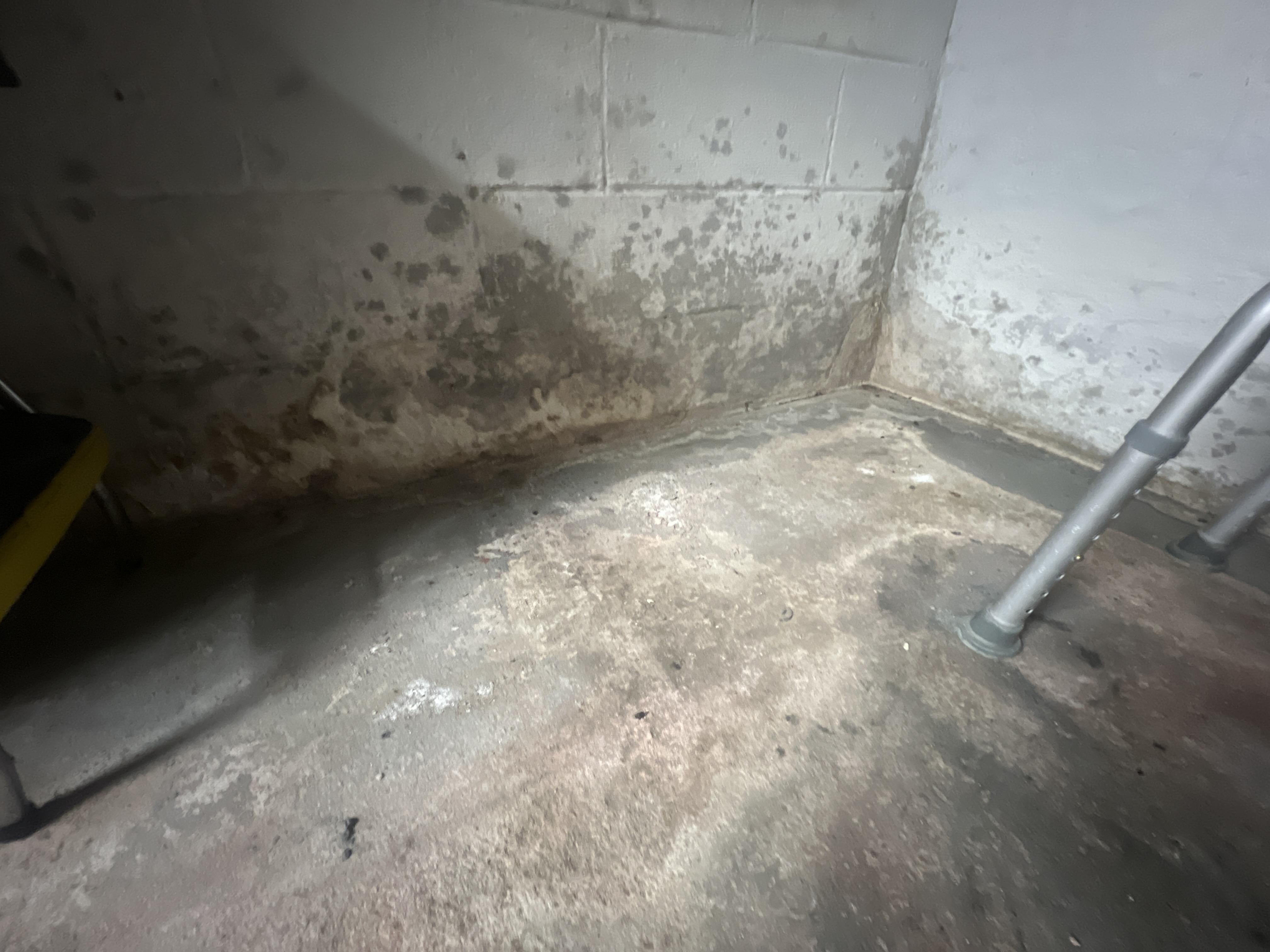 Emily P. - Rockaway, NJ