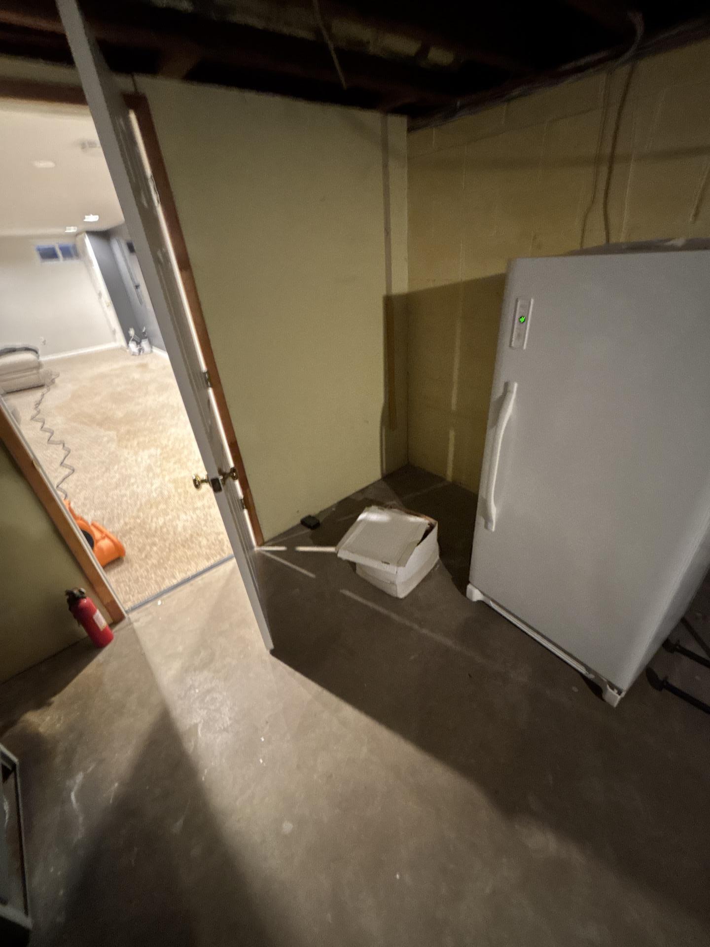 Michael R. - Gillete, NJ - Water Damage