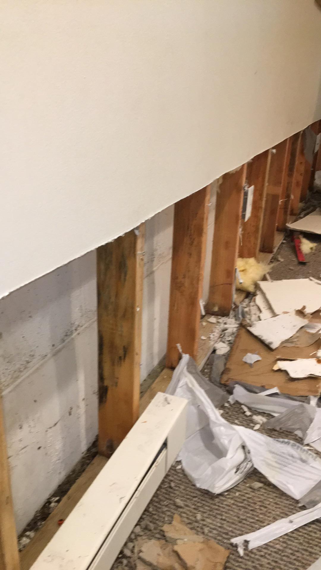 Robert T. - Bedminster, NJ - Water Damage