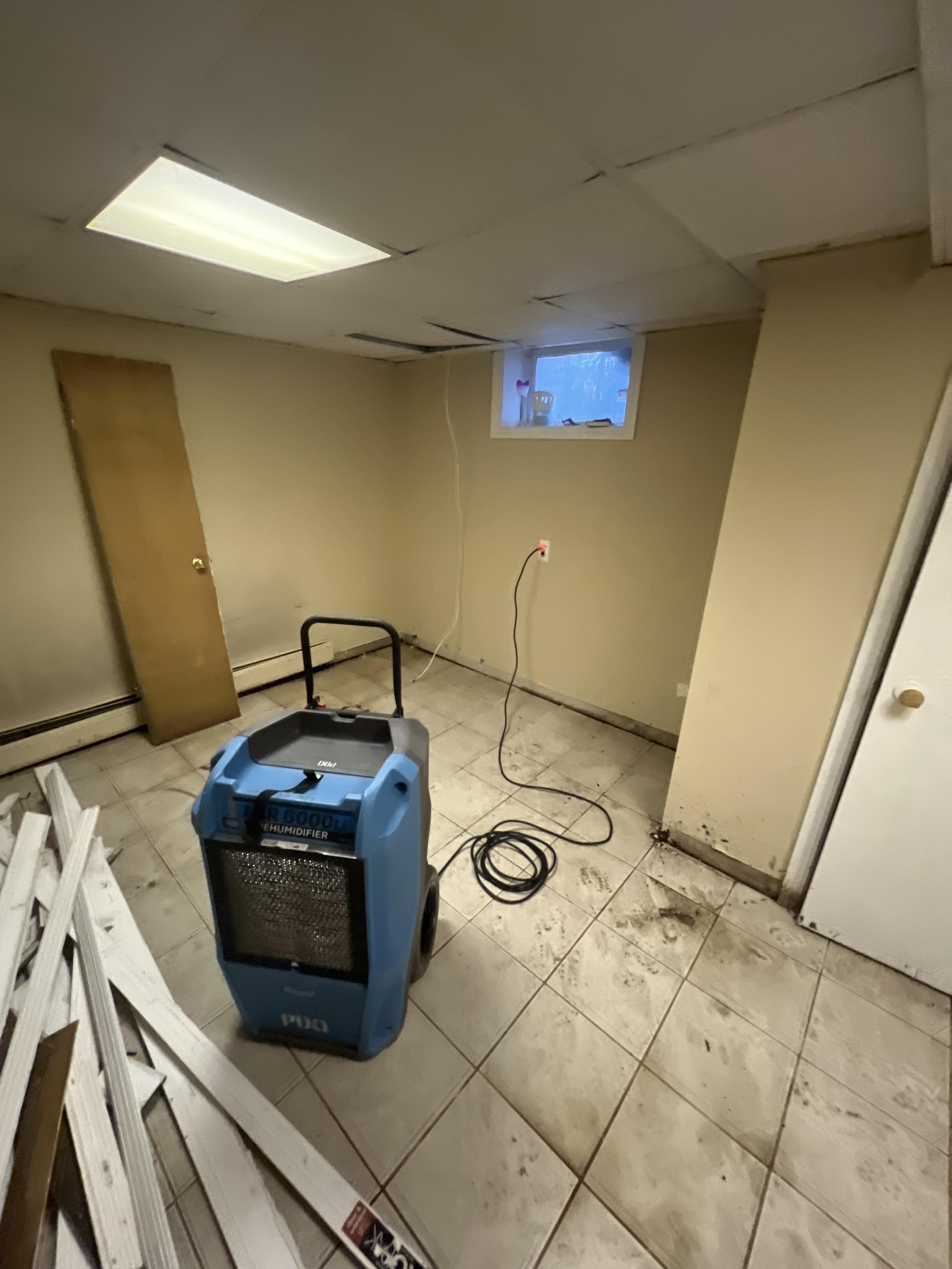 Evan M. - Lincoln Park, NJ - Water Damage