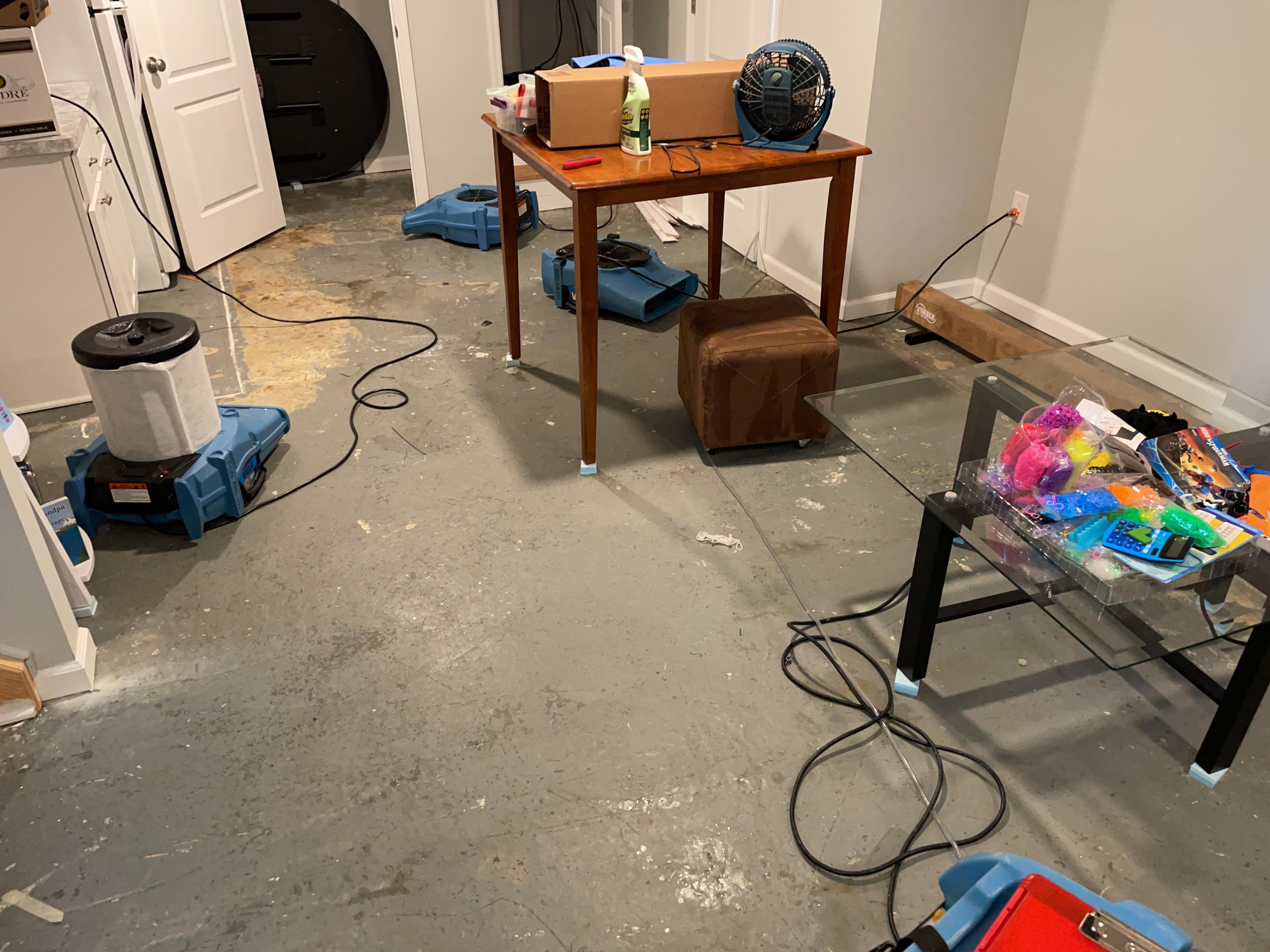 Water Damaged Finished Basement in Dover