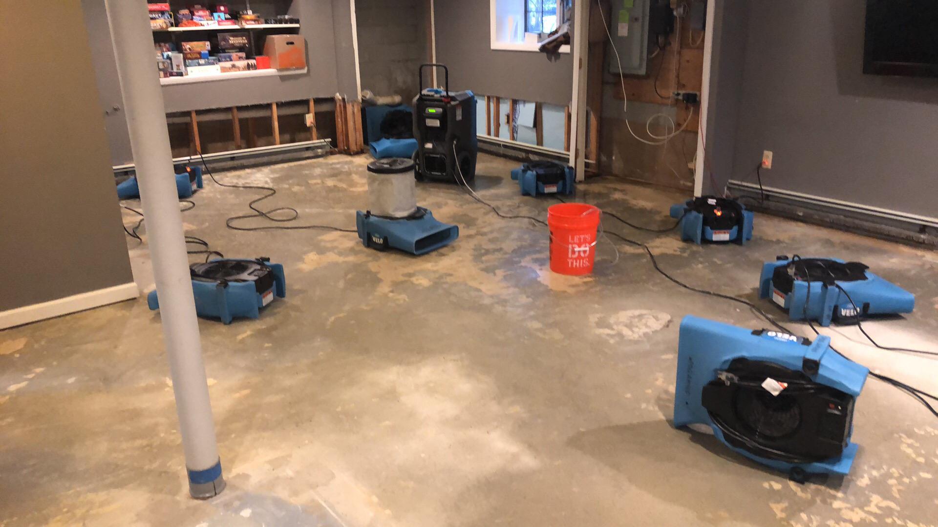 sewage restoration in basement