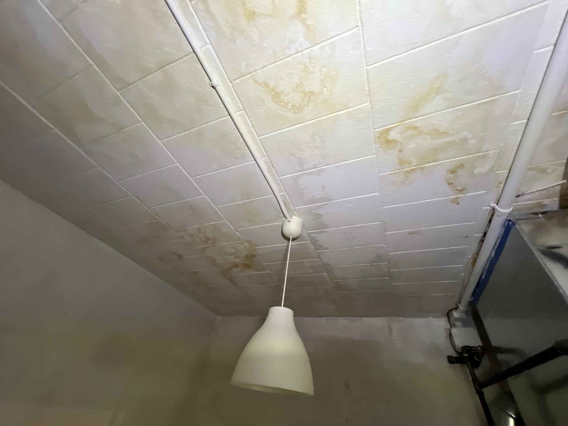 Mold Removal in Blairstown, NJ