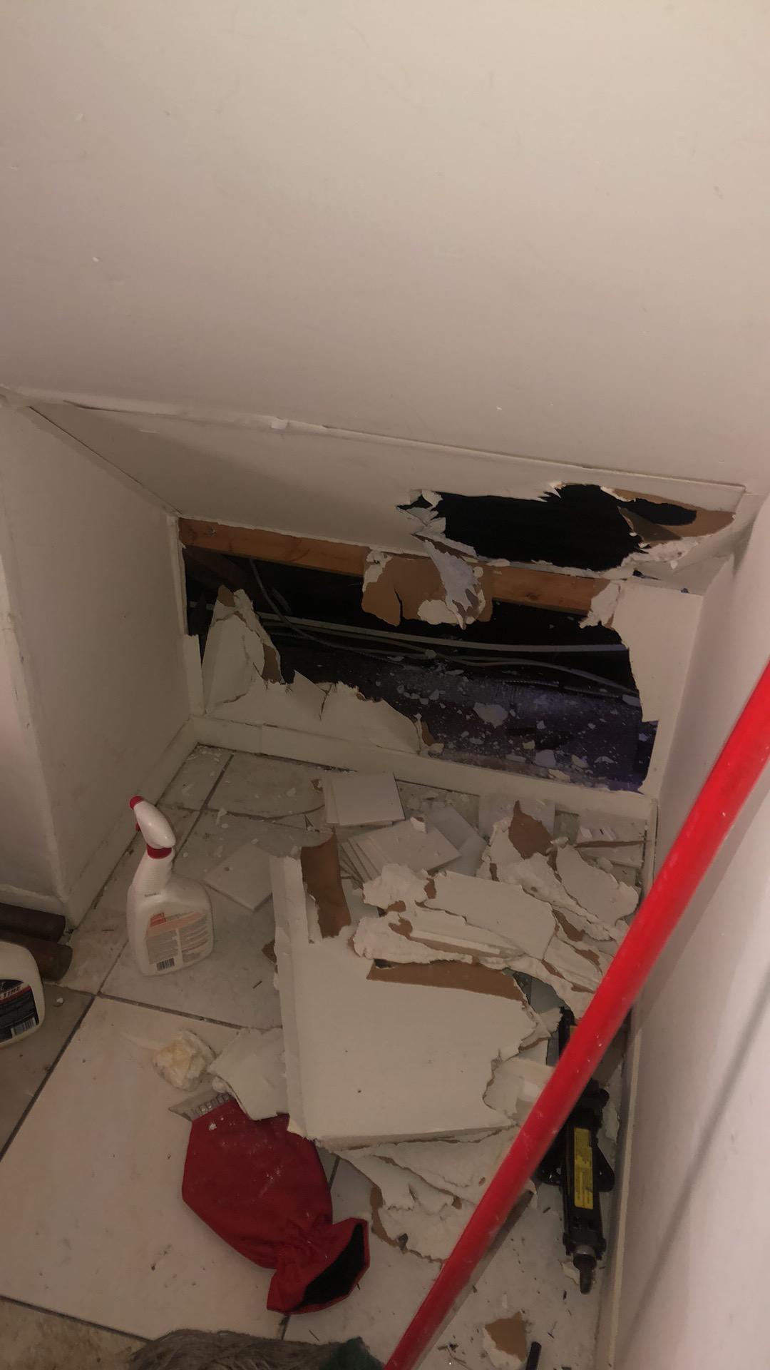 Olivia F. - Hardwick Township, NJ - Water Damage