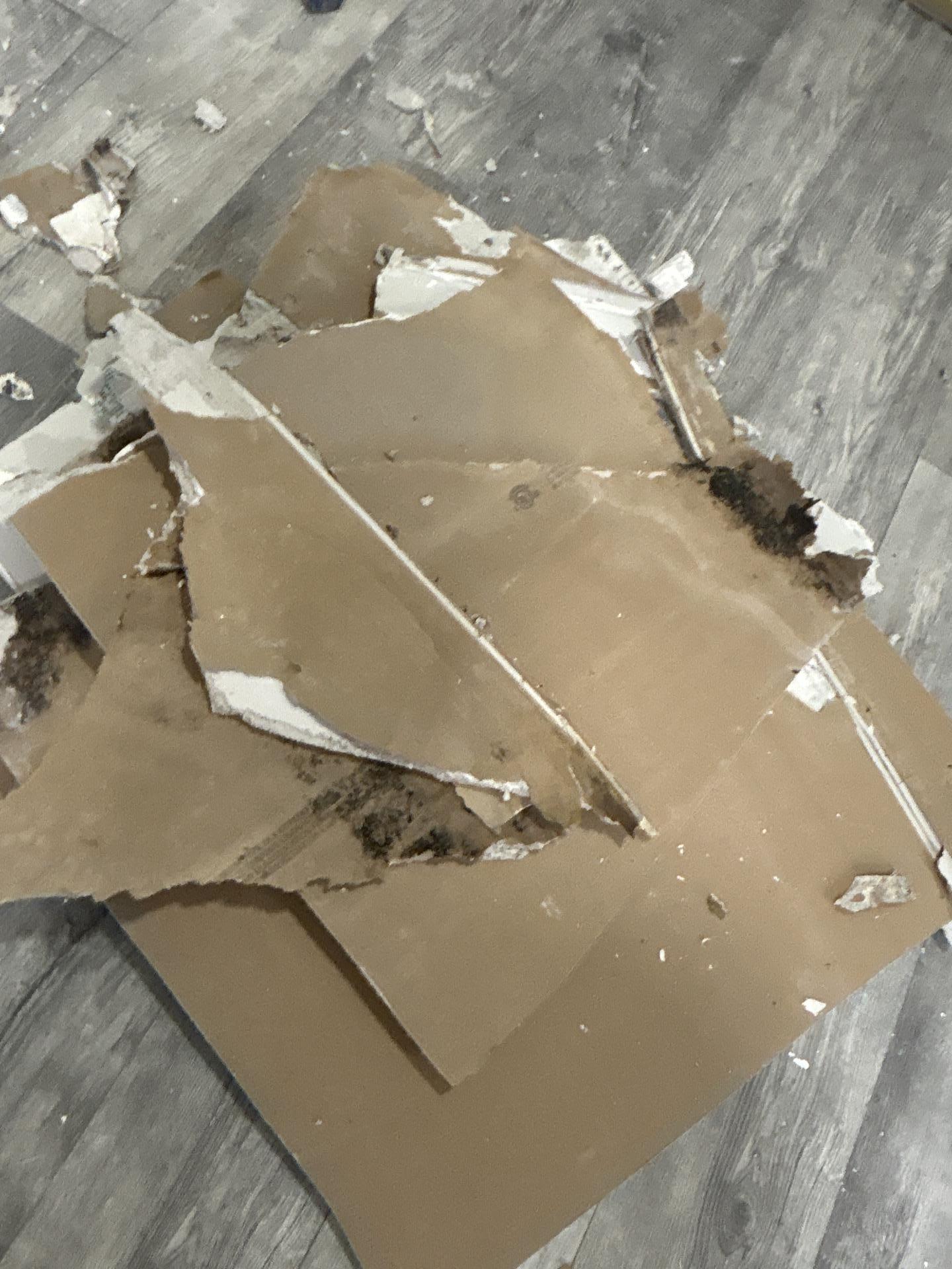 Burst Pipe, Randolph, NJ.jpg