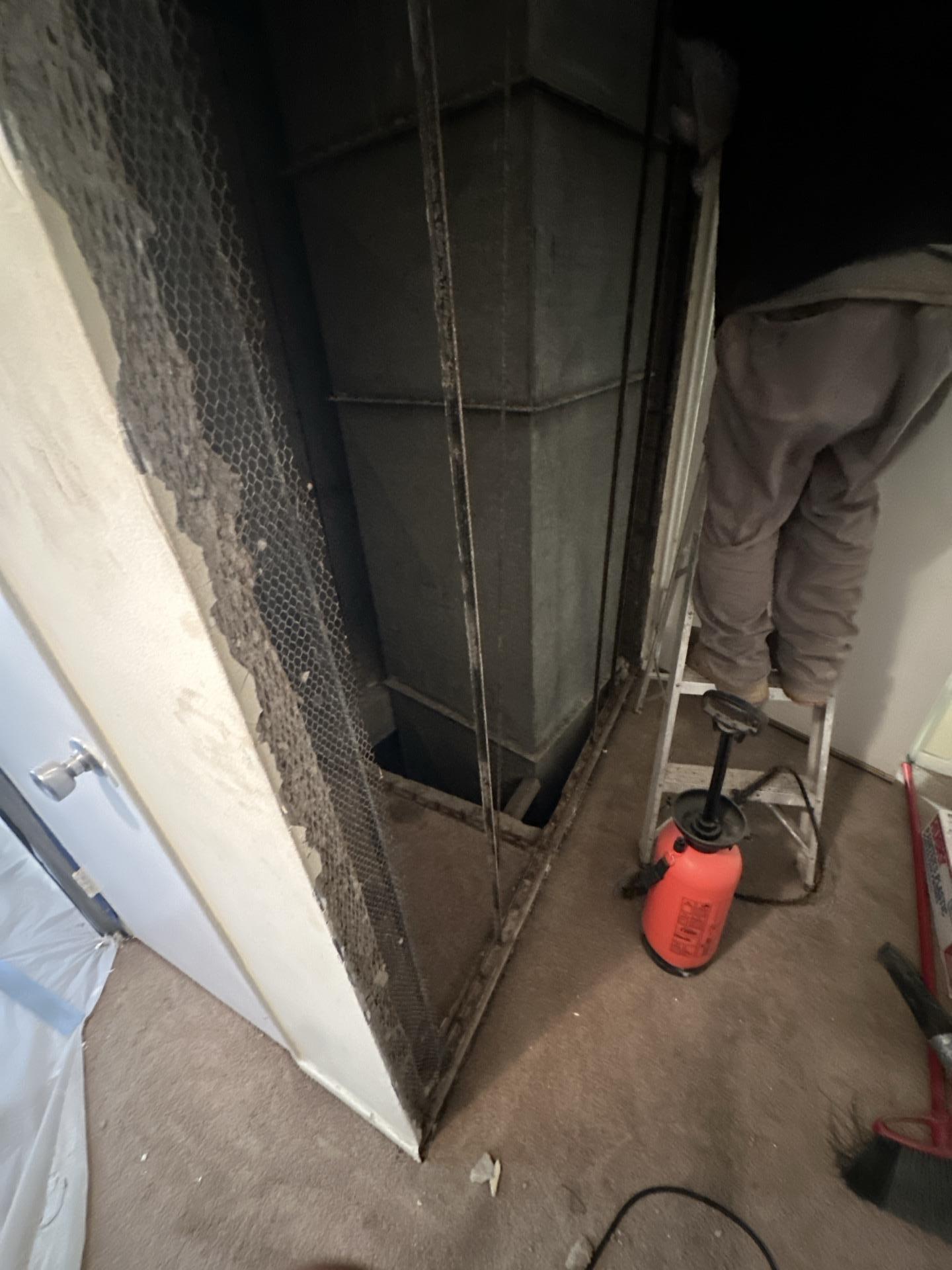 Anthony P. - Denville, NJ - Mold