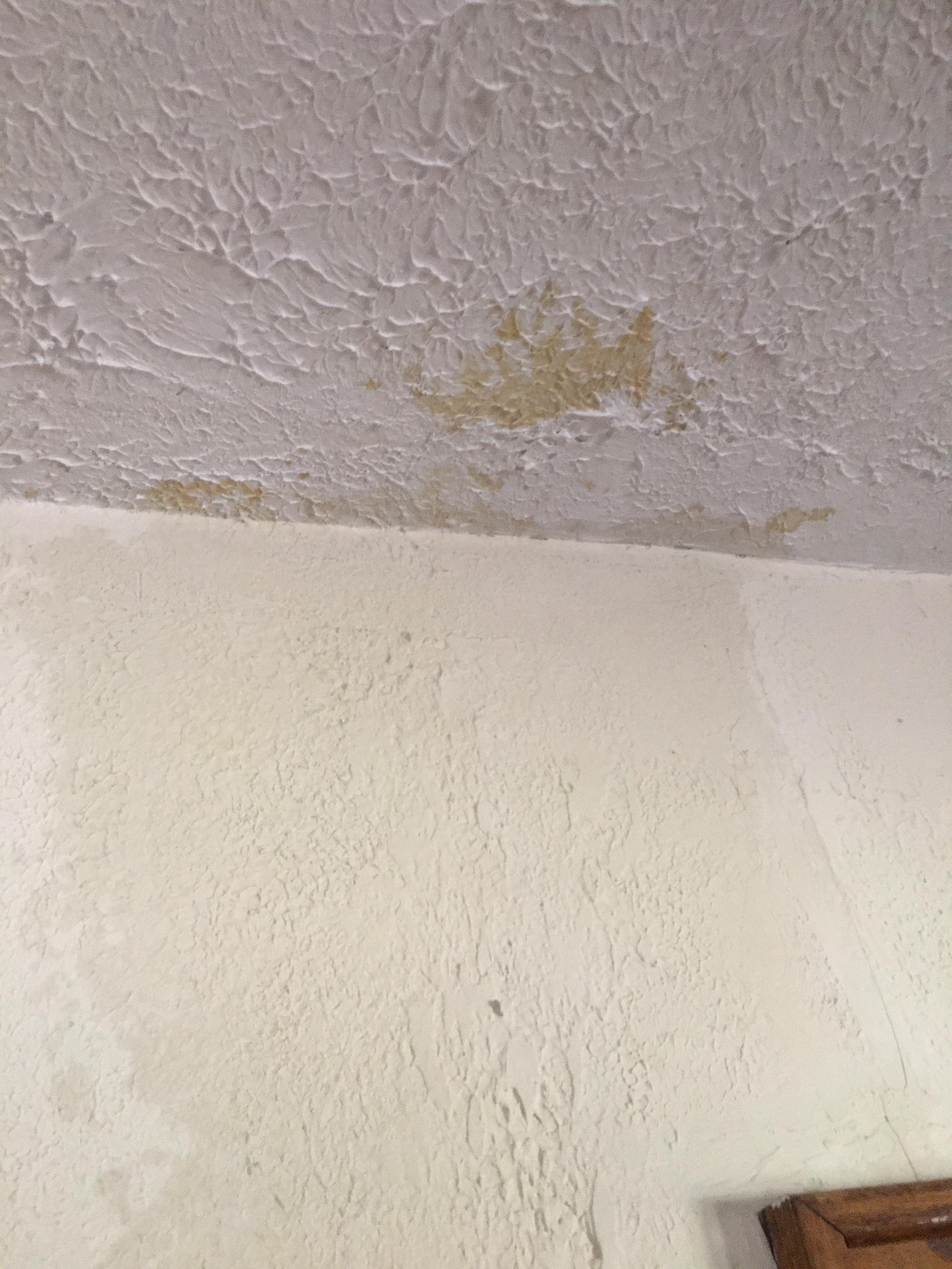 Susan P. - Morristown, NJ - Water Damage