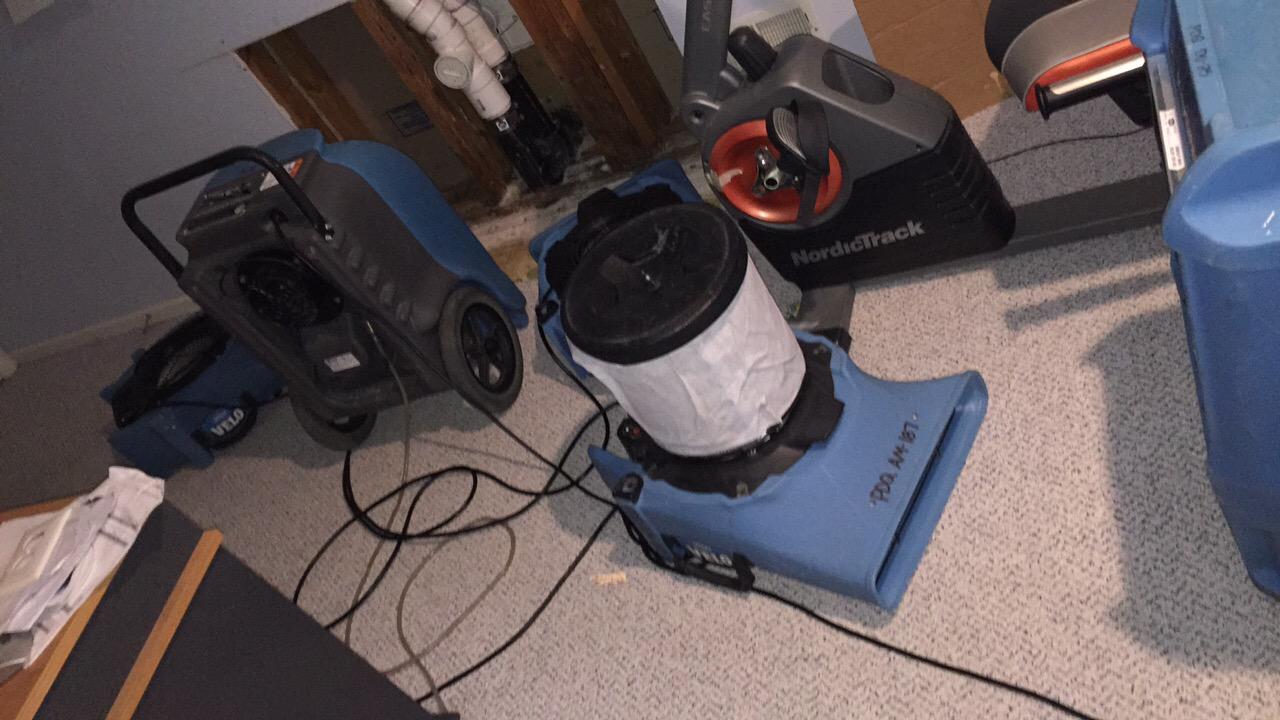 Ryan P. - Jefferson, NJ - Sewage Damage