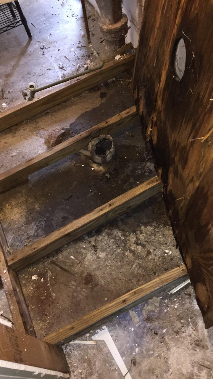 Mold Under Flooring in Bathroom