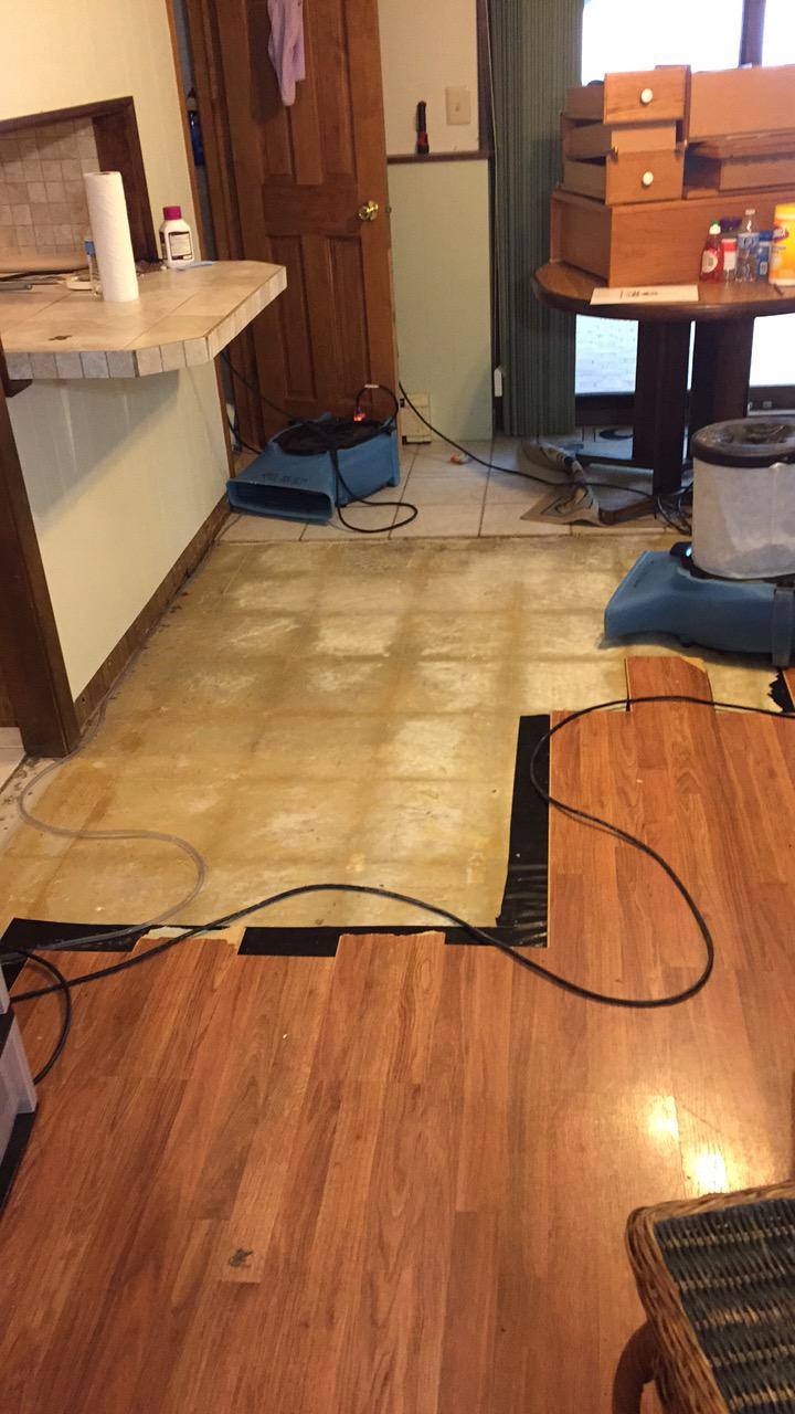 Wet Wood Floor in Byram Township, NJ